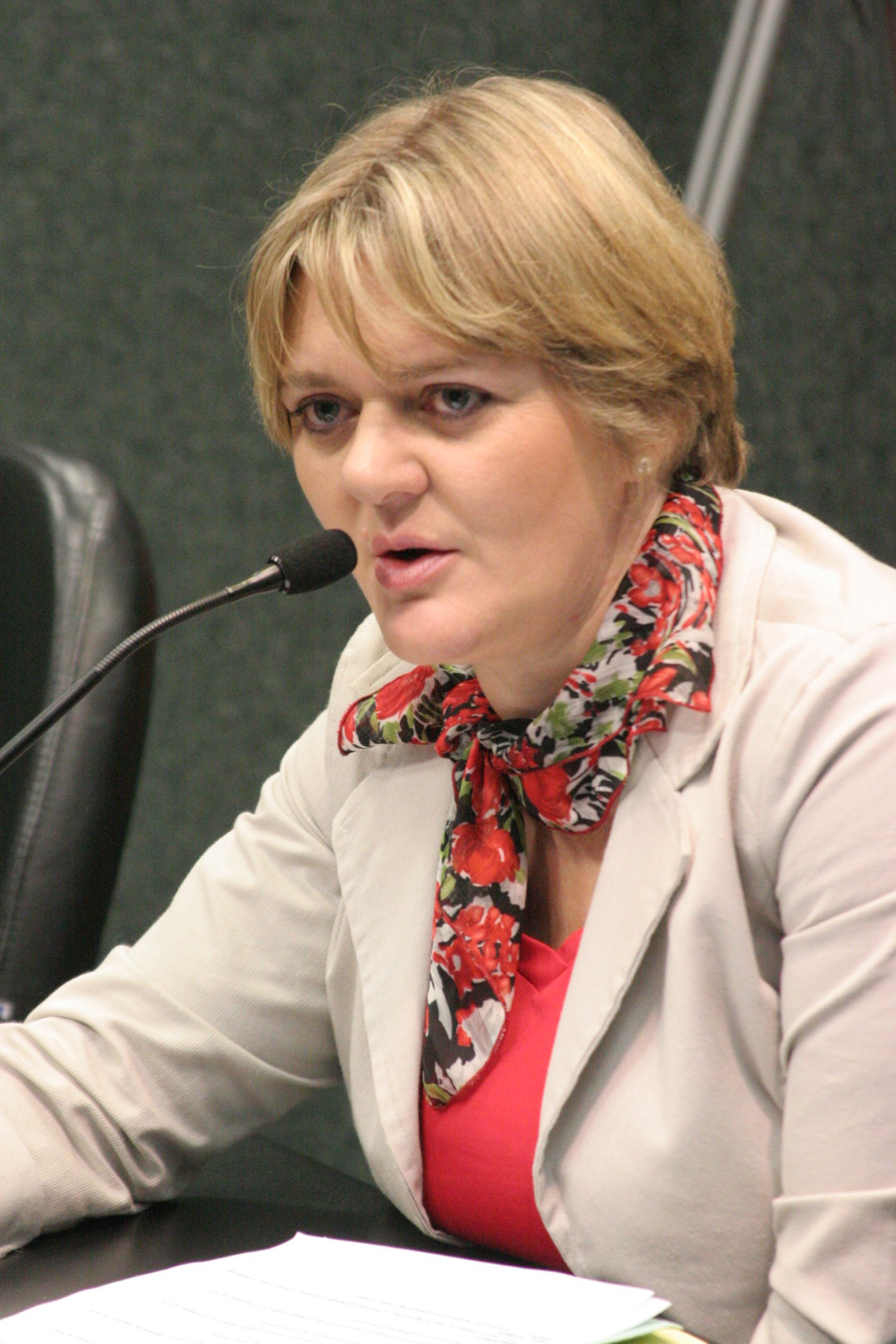 Deputada Luciane Carminatti (PT)