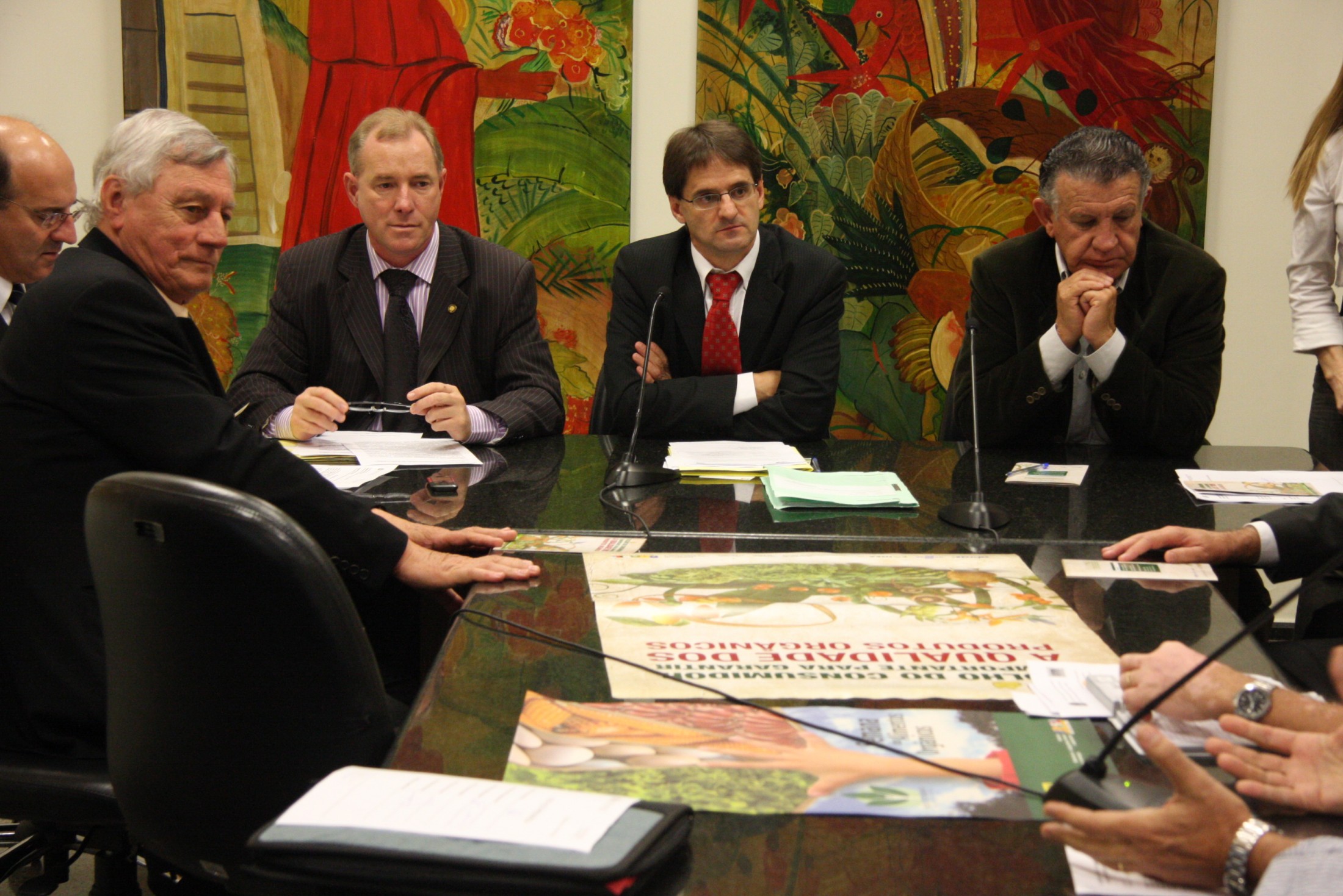 Reunião da Comissão de Turismo e Meio Ambiente