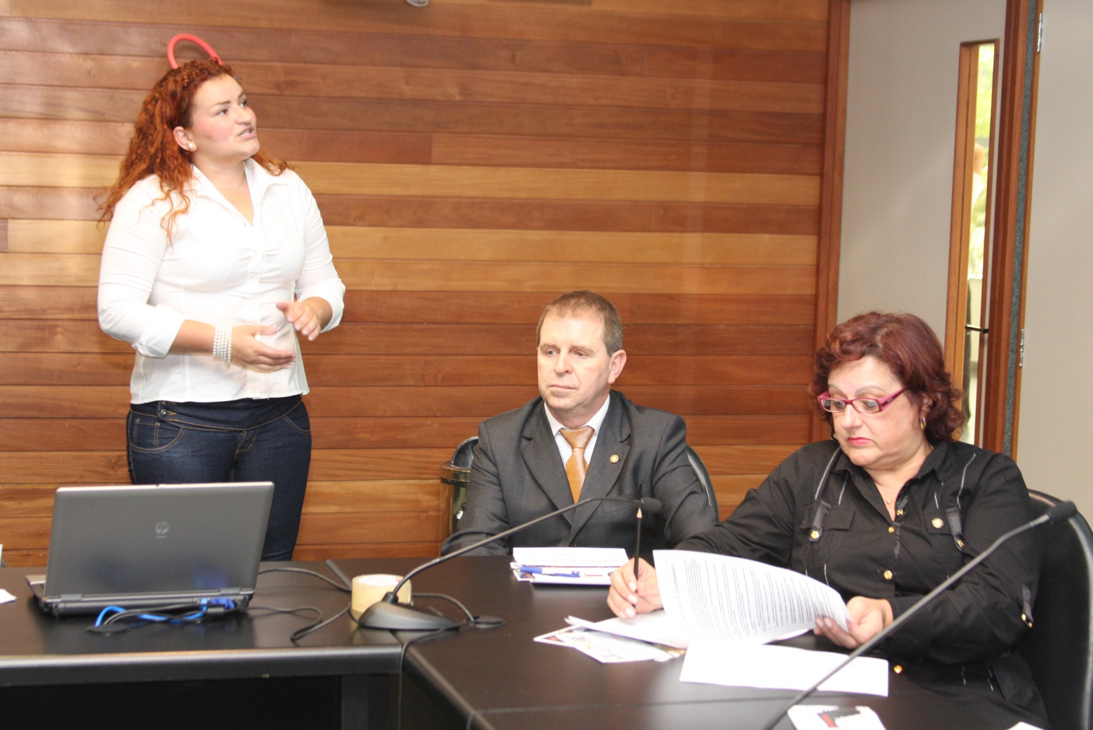 Reunião do Comitê Catarinense de Desarmamento