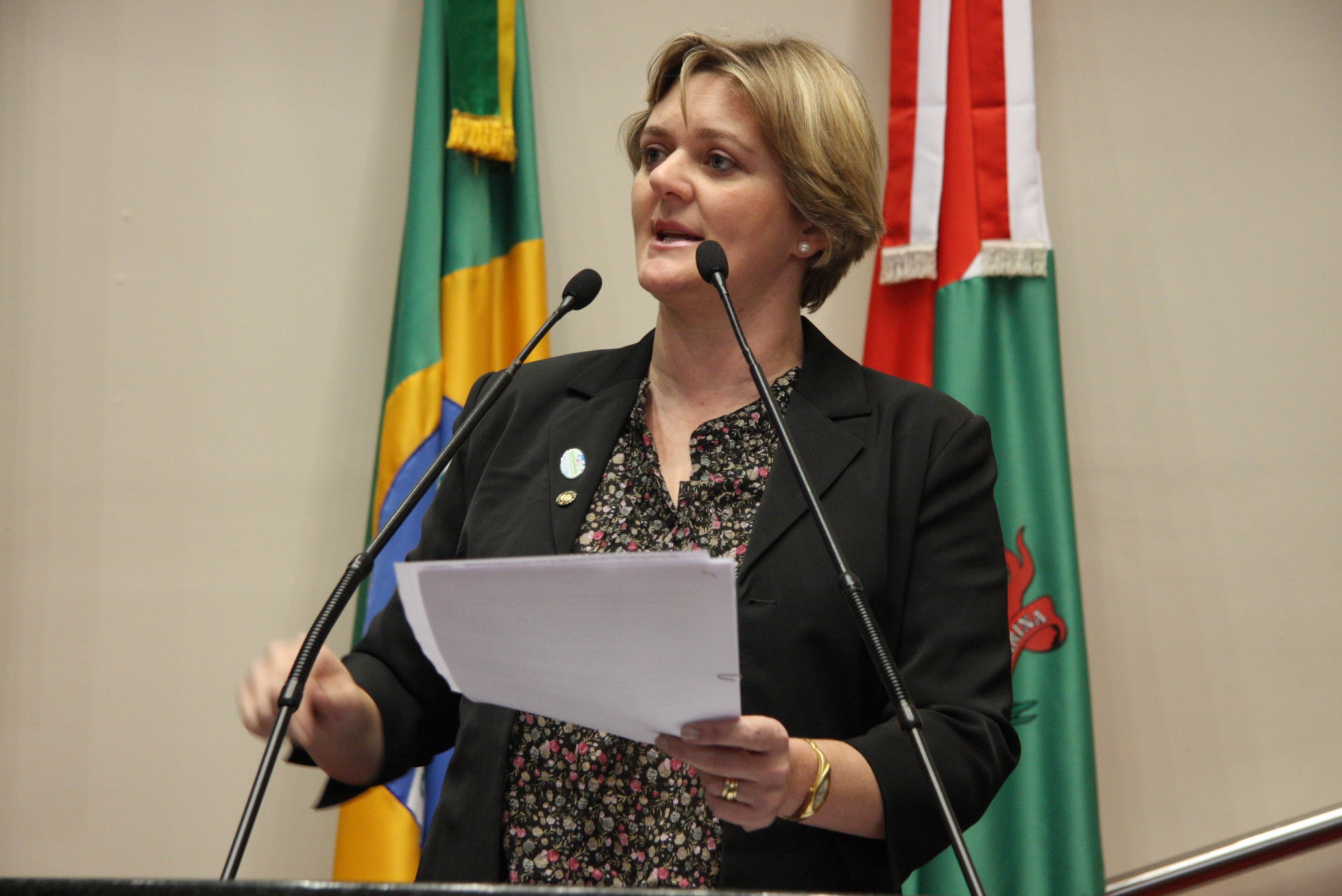 Deputada Luciane Carminatti (PT)