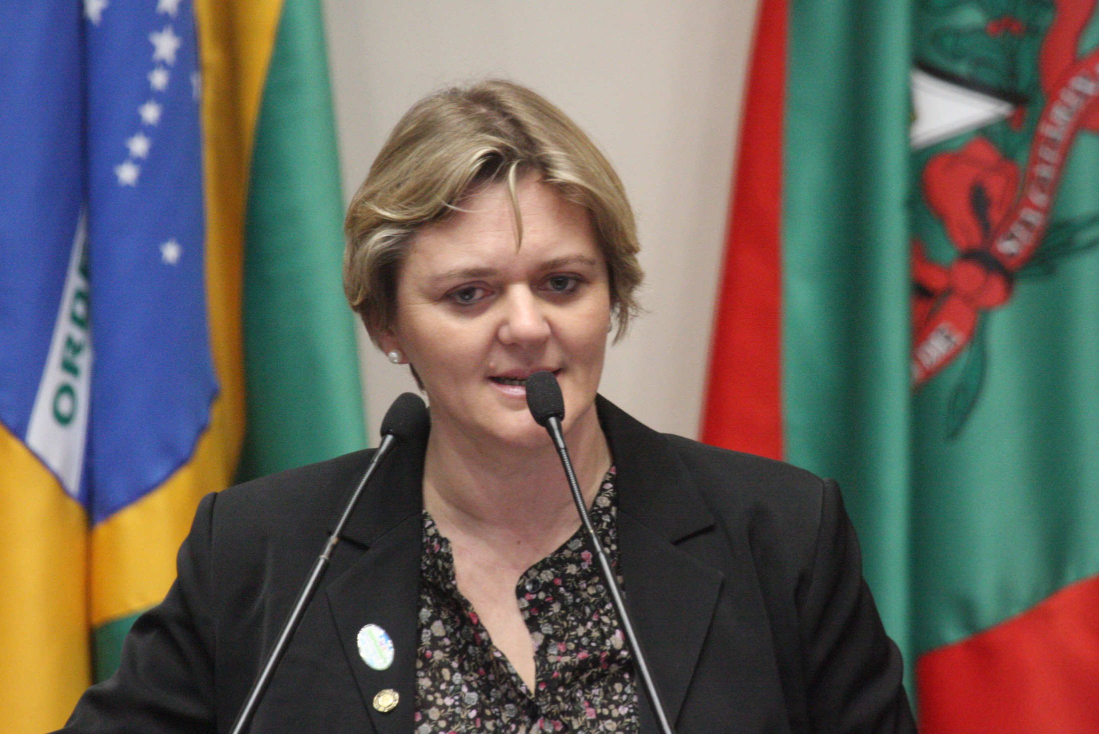 Deputada Luciane Carminatti (PT)