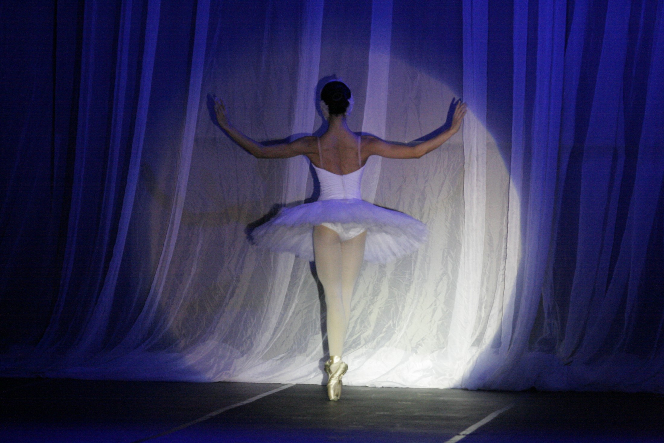 Abertura da XV Conferência Nacional da UNALE - Balé Bolshoi