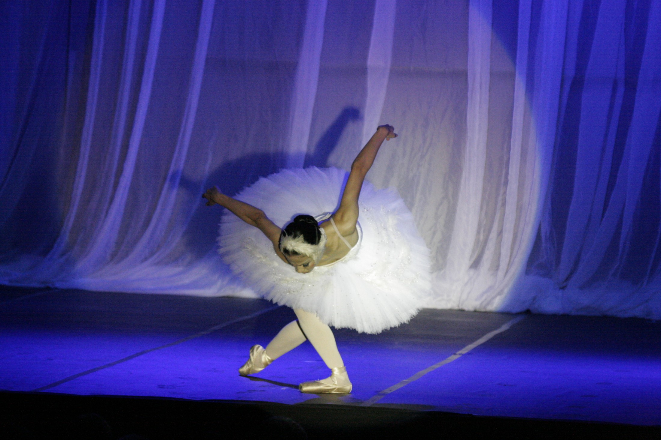Abertura da XV Conferência Nacional da UNALE - Balé Bolshoi