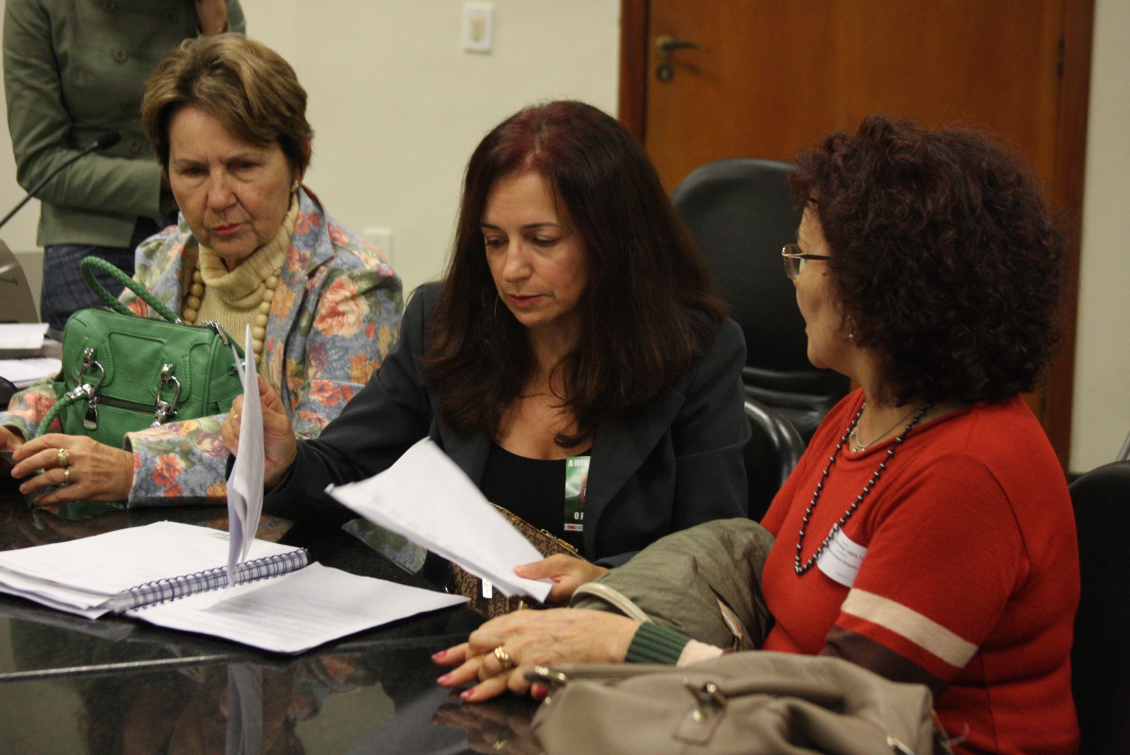 Professores acompanham a sessão