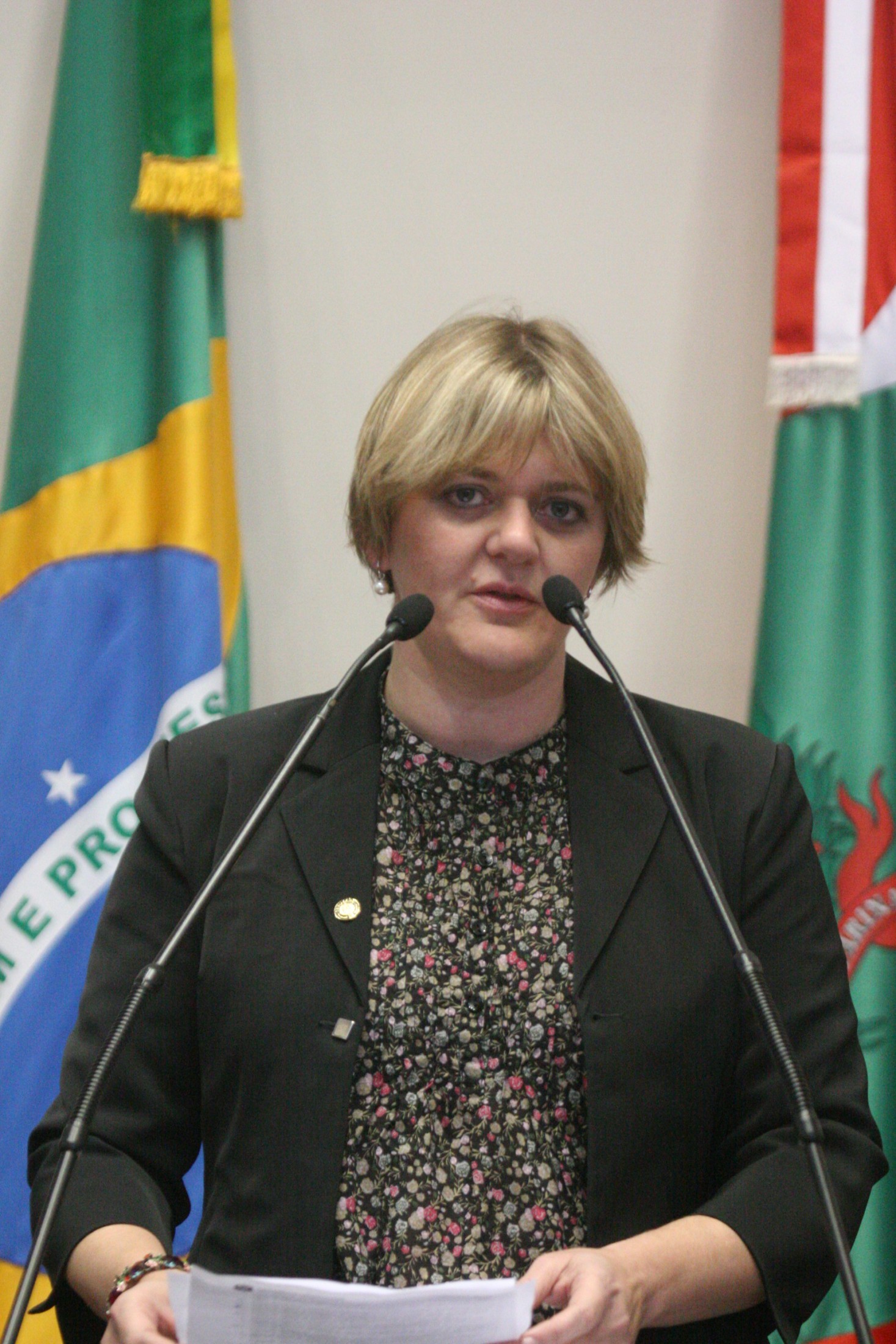Deputada Luciane Carminatti (PT)