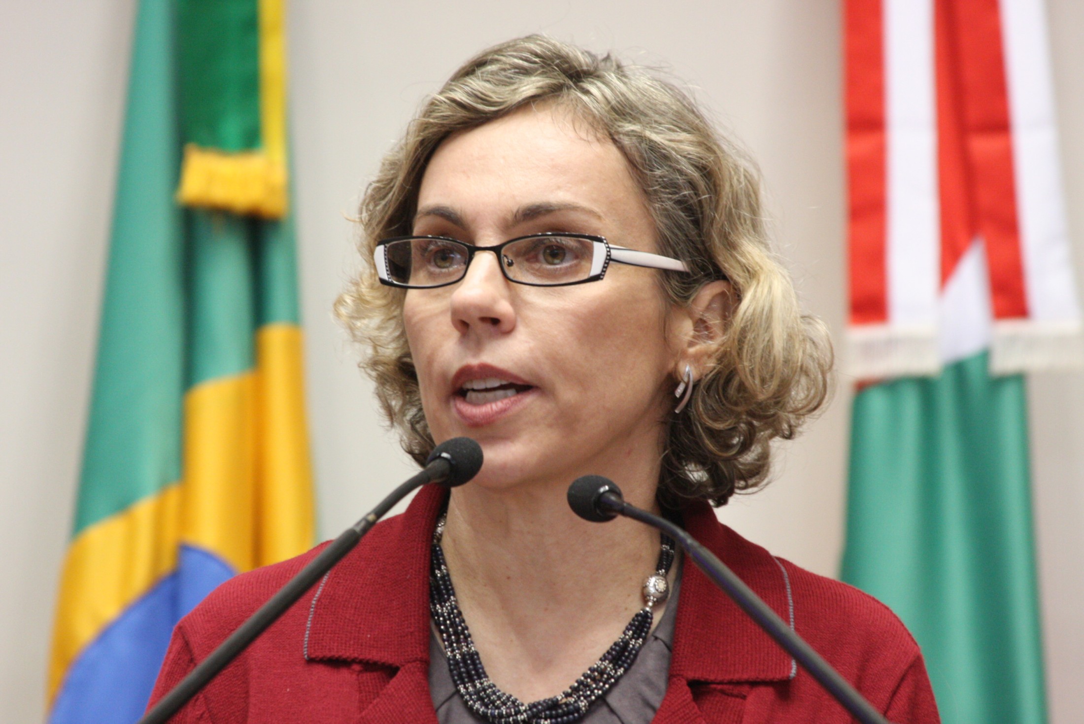 Audiência Pública  -  A fim de discutir 