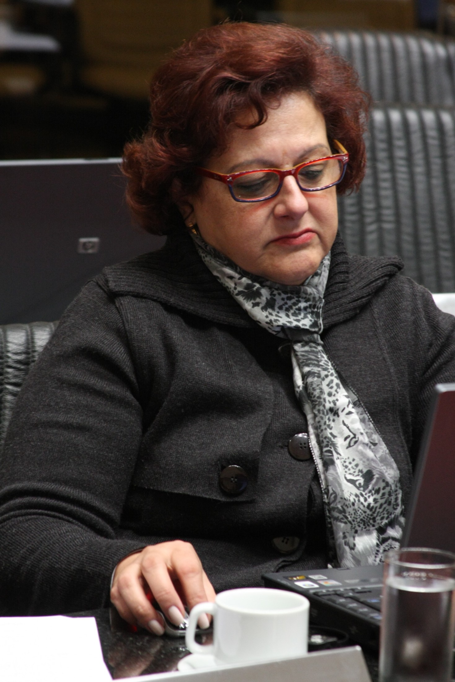 Deputada Dirce Heiderscheidt (PMDB)