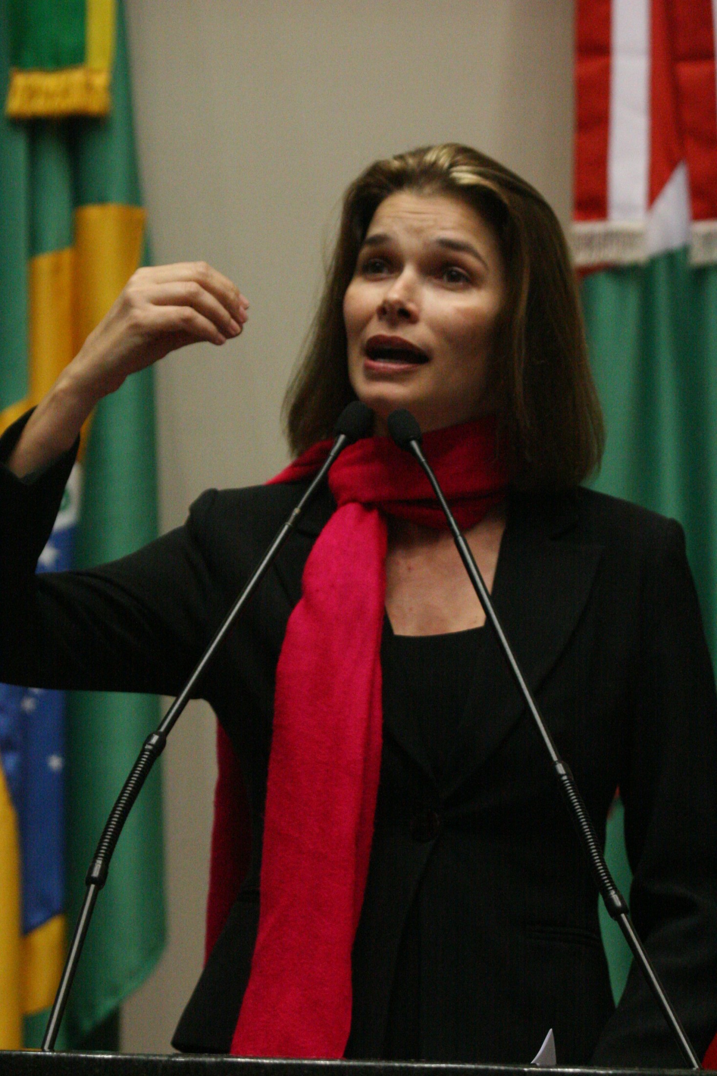 Deputada Angela Albino (PCdoB)