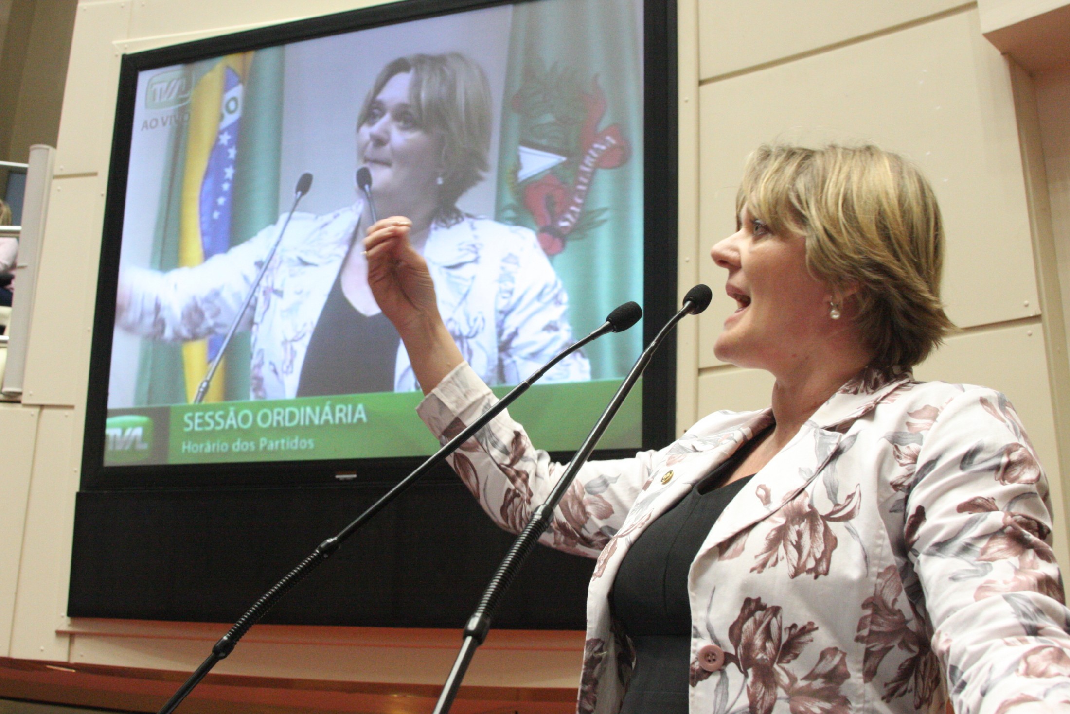Deputada Luciane Carminatti (PT)