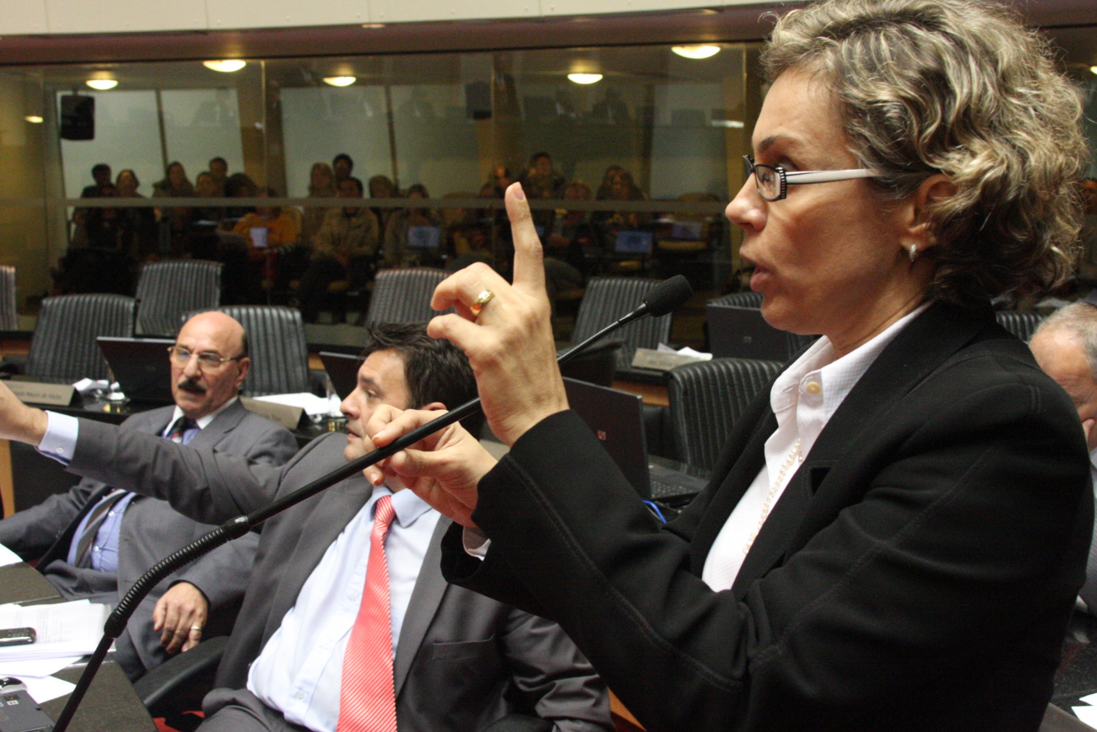 Deputada Ana Paula Lima (PT)