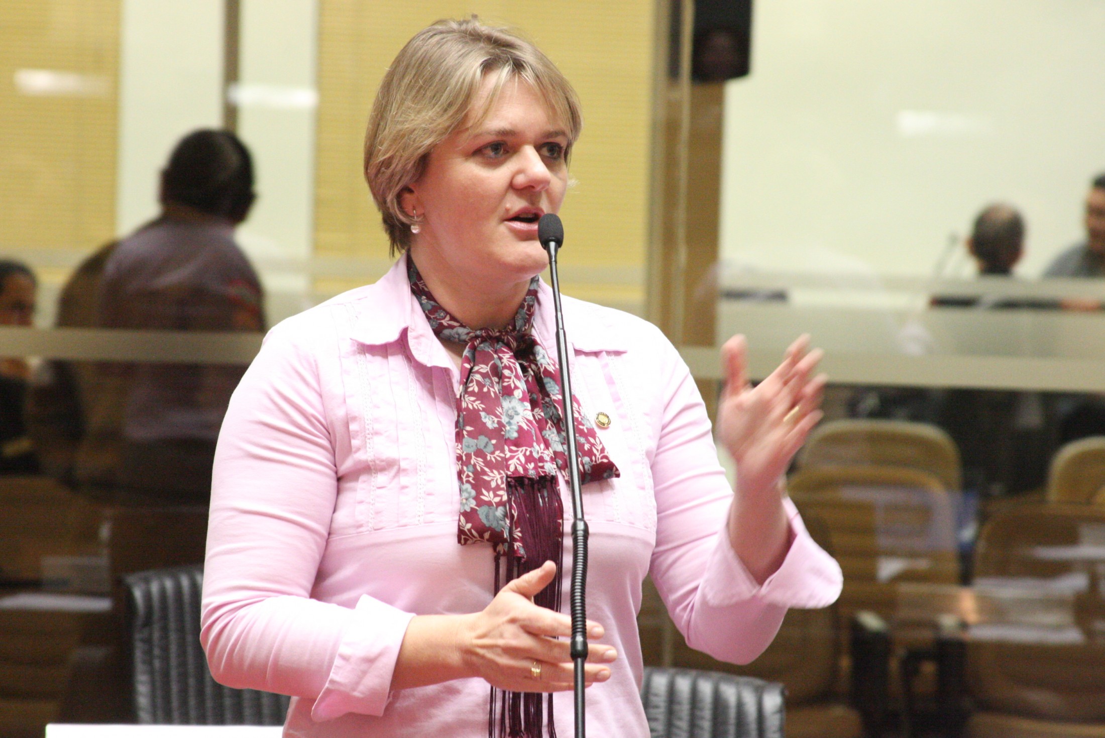 Deputada Luciane Carminatti (PT)