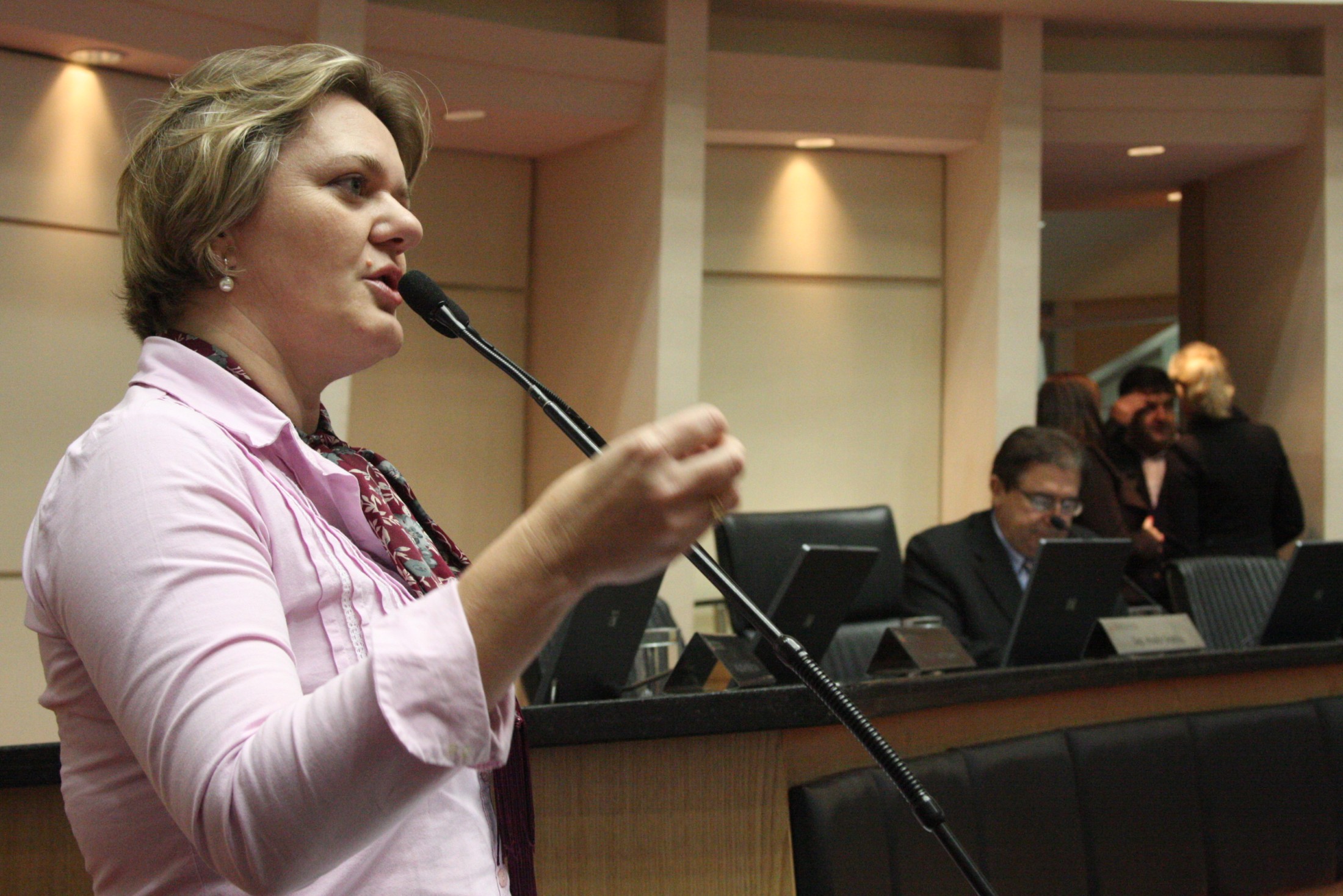 Deputada Luciane Carminatti (PT)