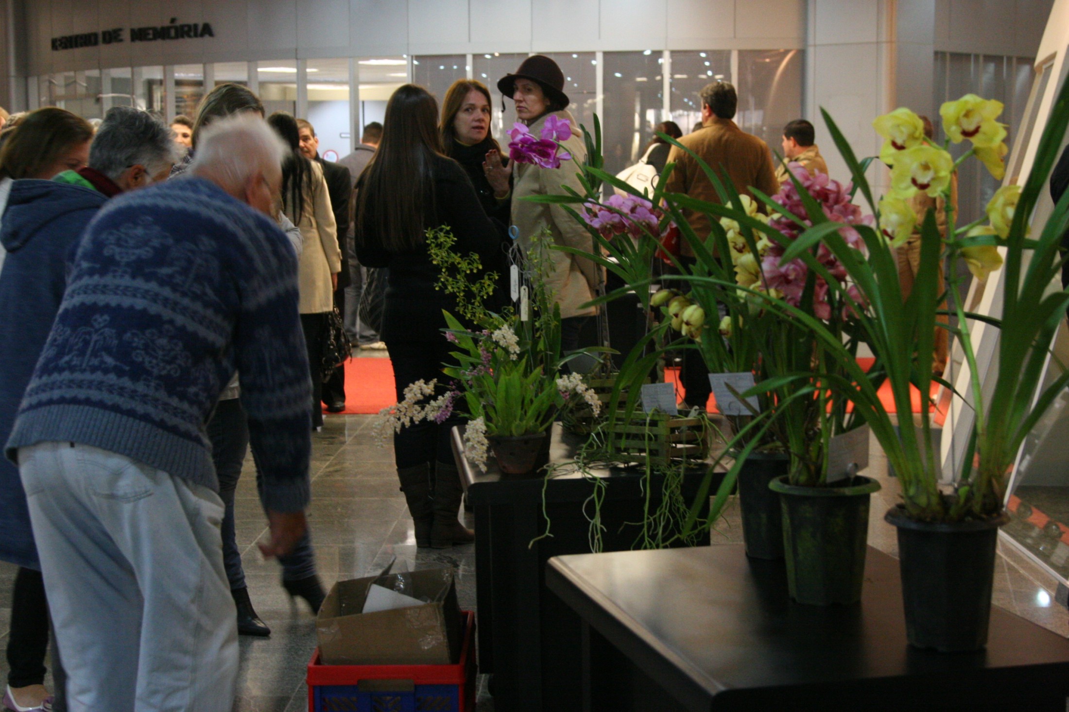 Exposição de orquídeas para homenagear o Dia do Orquidófilo