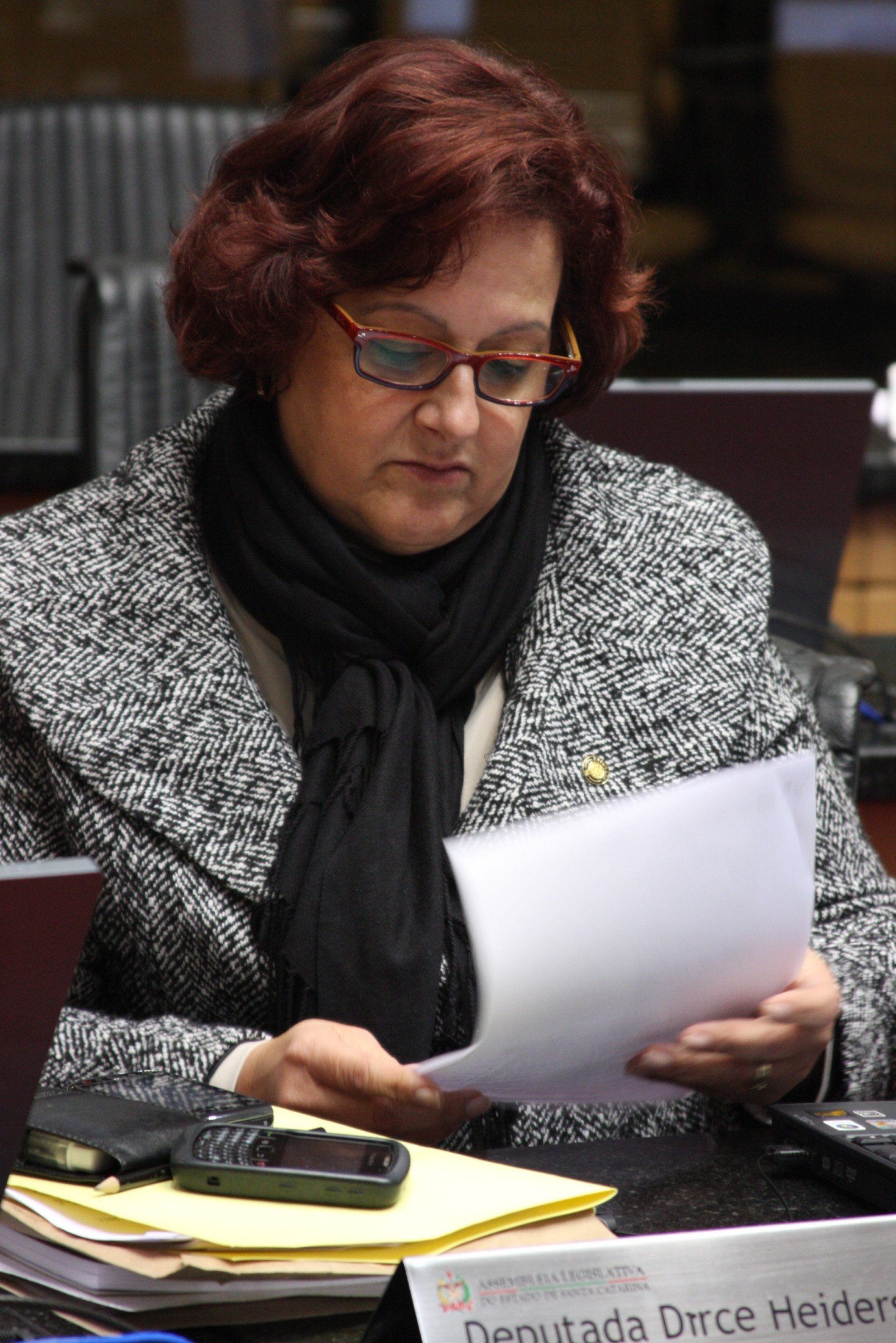 Deputada Dirce Heiderscheidt (PMDB)