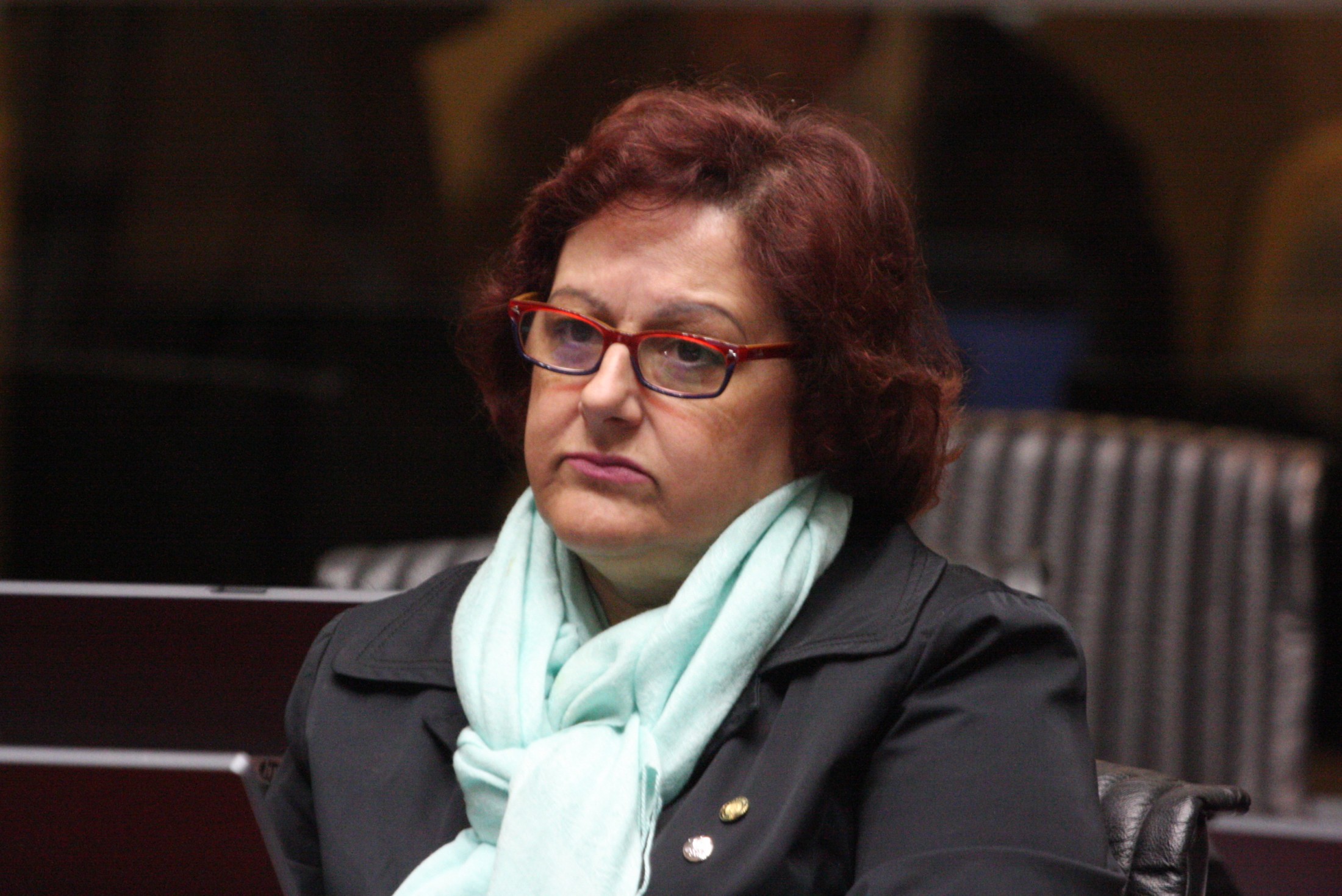 Deputada Dirce Heiderscheidt (PMDB)