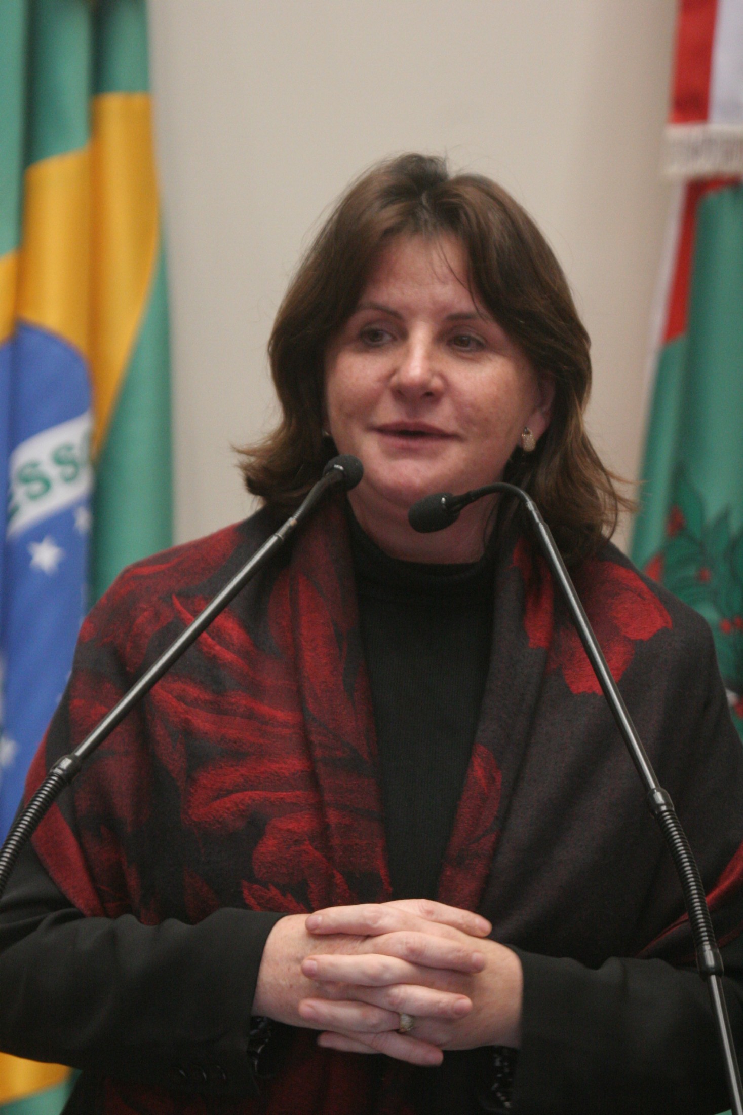 Deputada Federal Carmen Zanotto