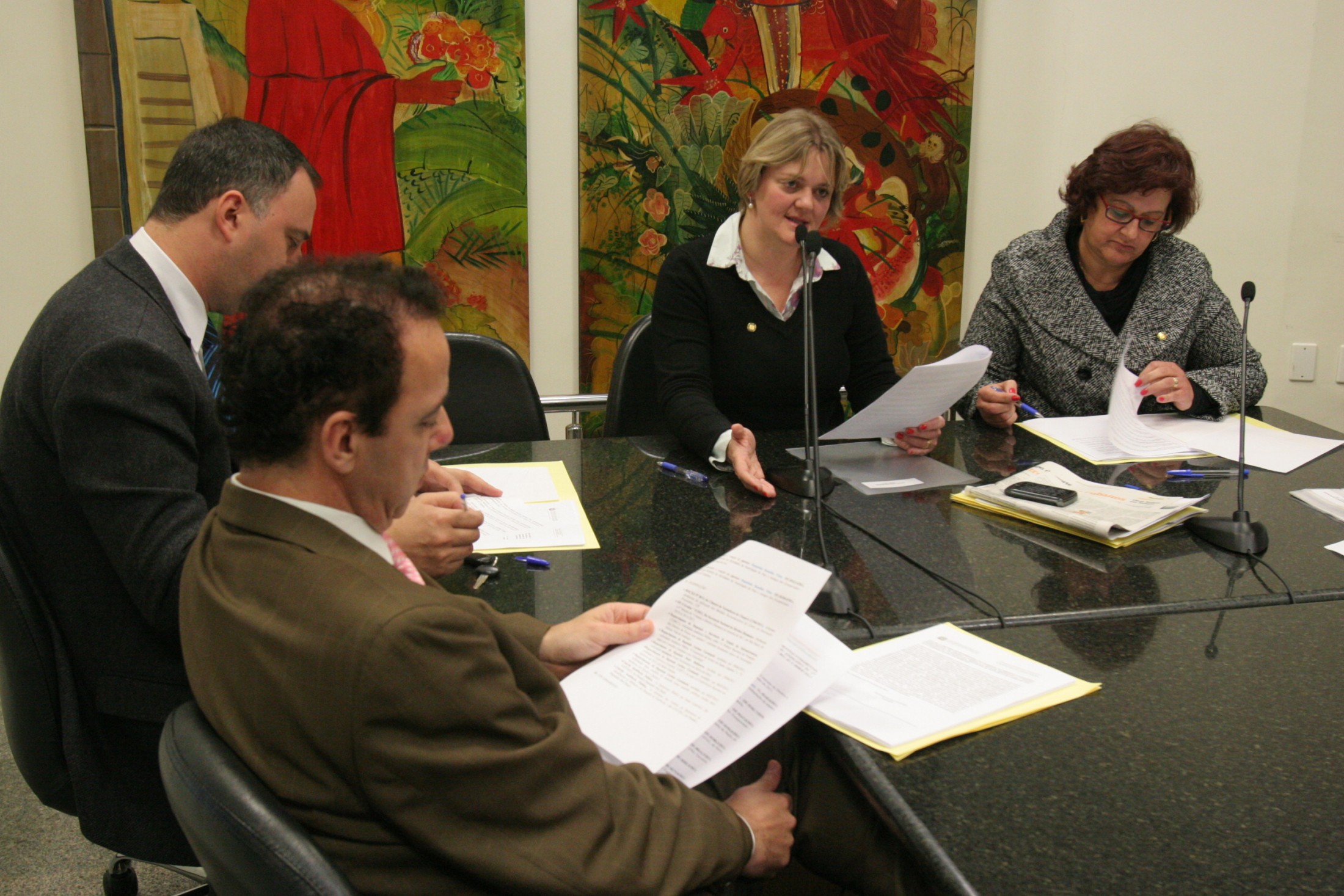 Reunião da Comissão de Direitos e Garantias