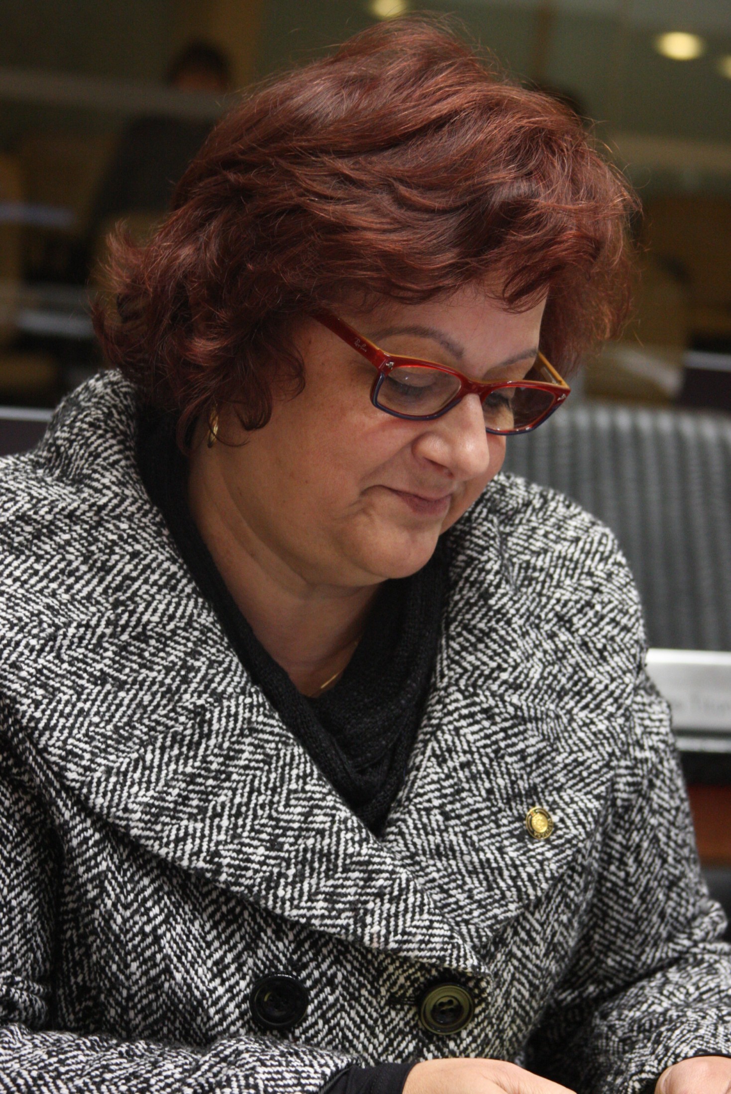 Deputada Dirce Heiderscheidt (PMDB)
