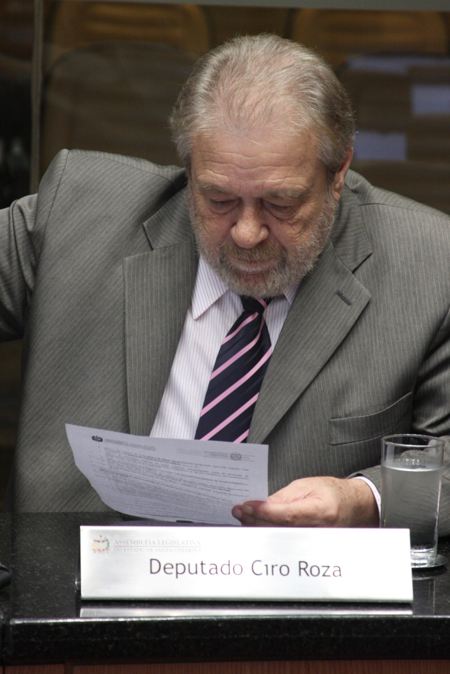 Deputado Ciro Roza (DEM)