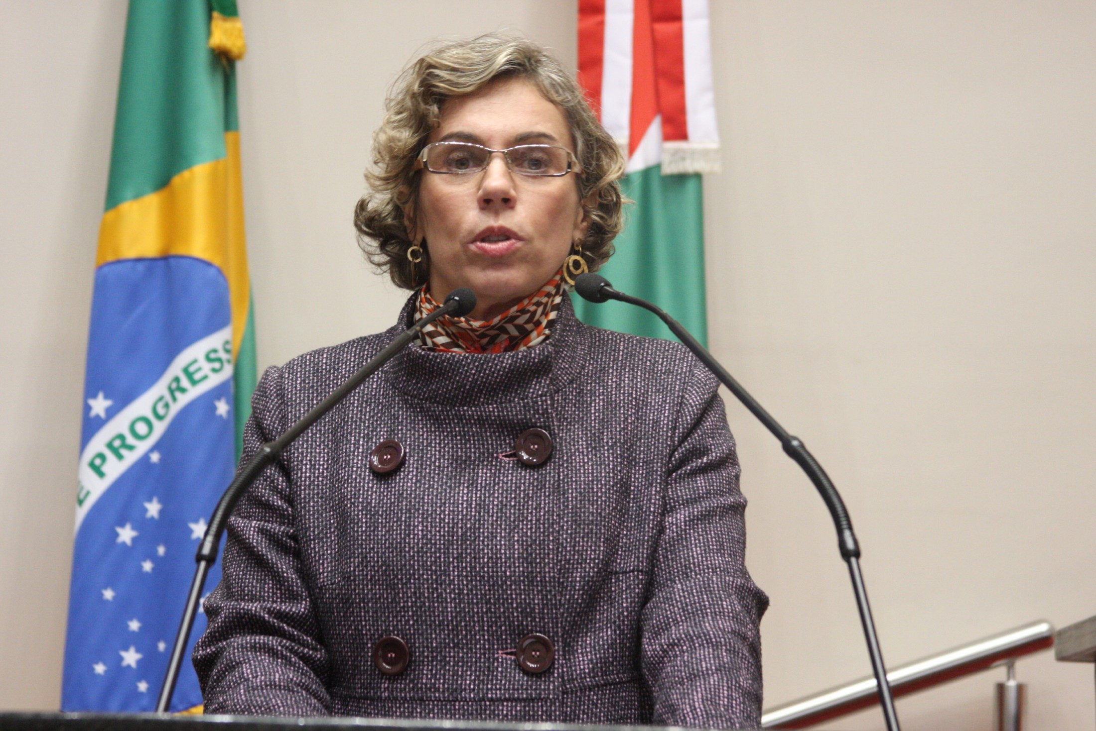 Deputada Ana Paula Lima (PT)