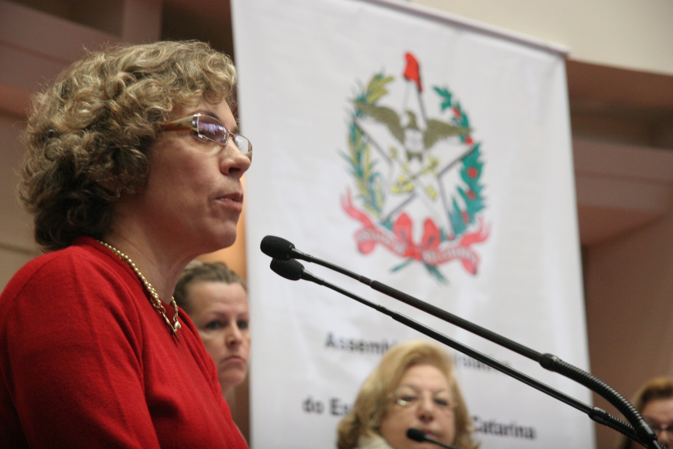 Deputada Angela Albino (PCdoB) - Comissão de Direitos e Garantias Fundamentais - Audiência pública 