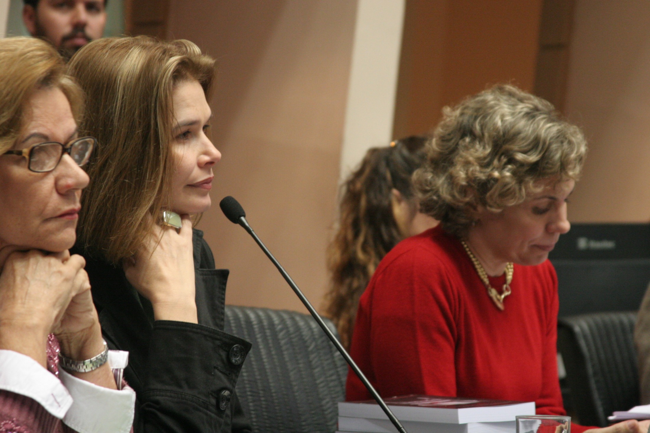 Deputada Luciane Carminatti (PT) - Comissão de Direitos e Garantias Fundamentais - Audiência pública 
