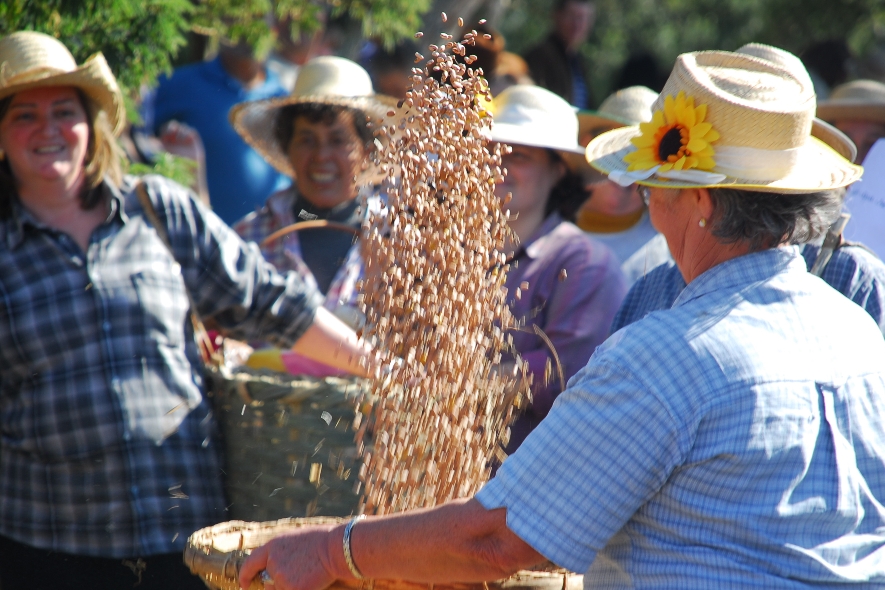 Agricultura familiar é valorizada na Mostra do Campo