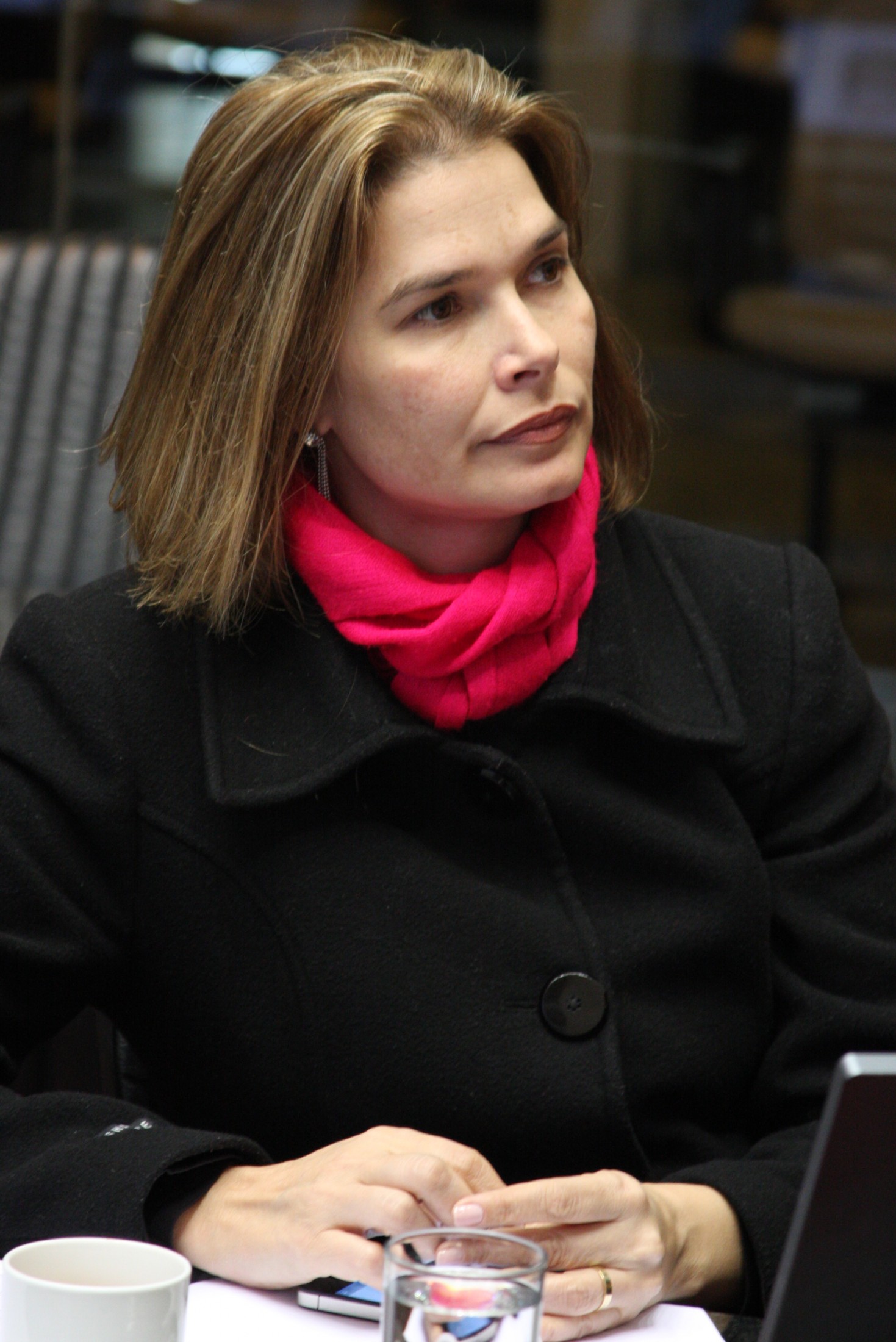 Deputada Angela Albino (PCdoB)