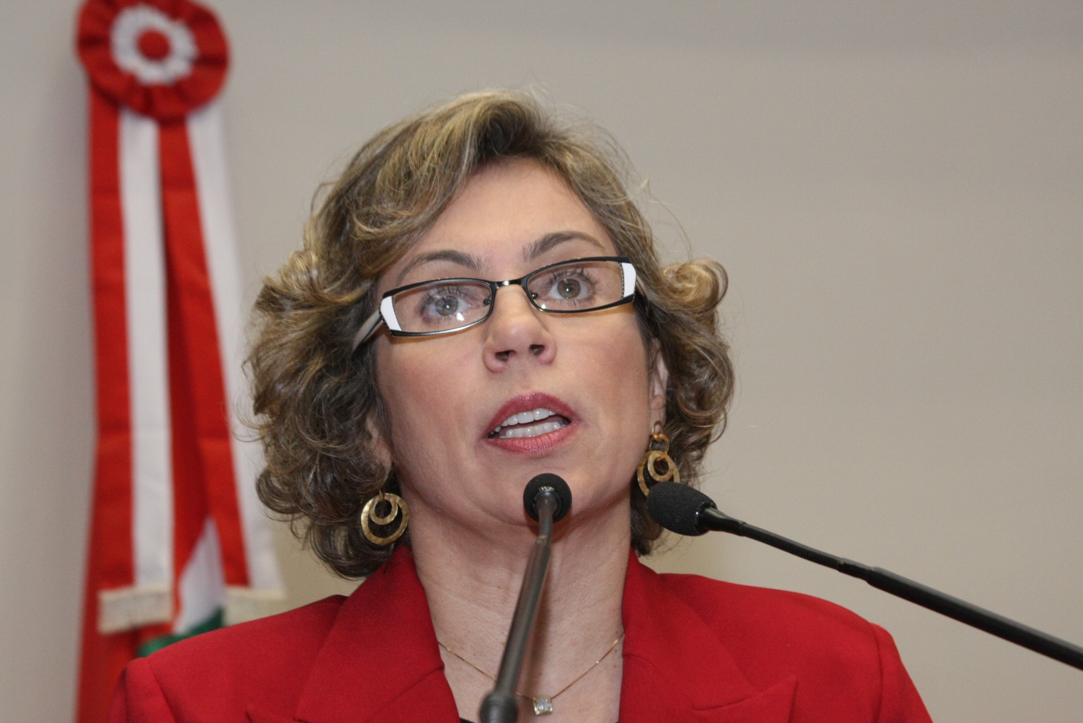 Deputada Ana Paula Lima (PT)