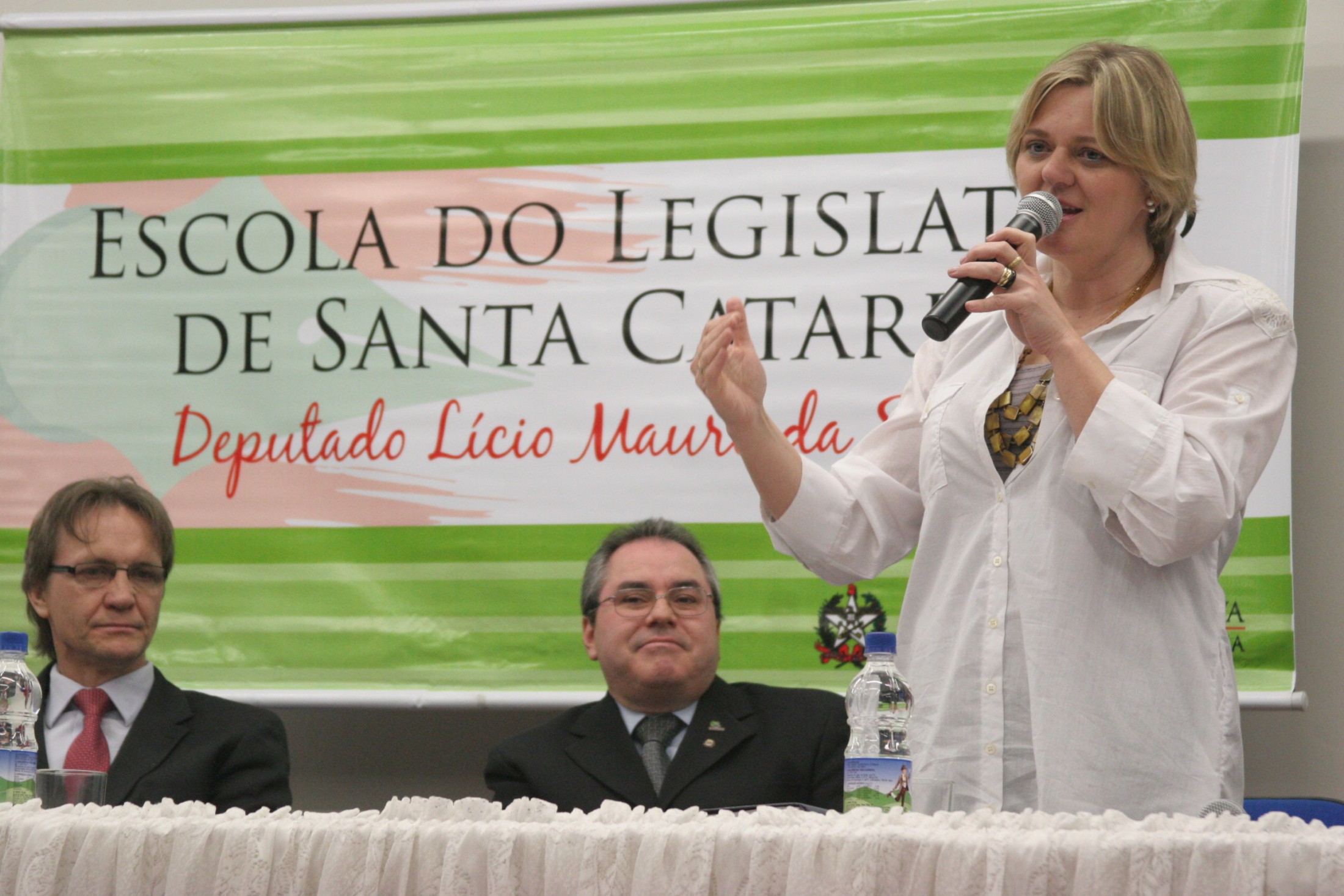 Seminário – PNE – Deputada Luciane Carminatti (PT)