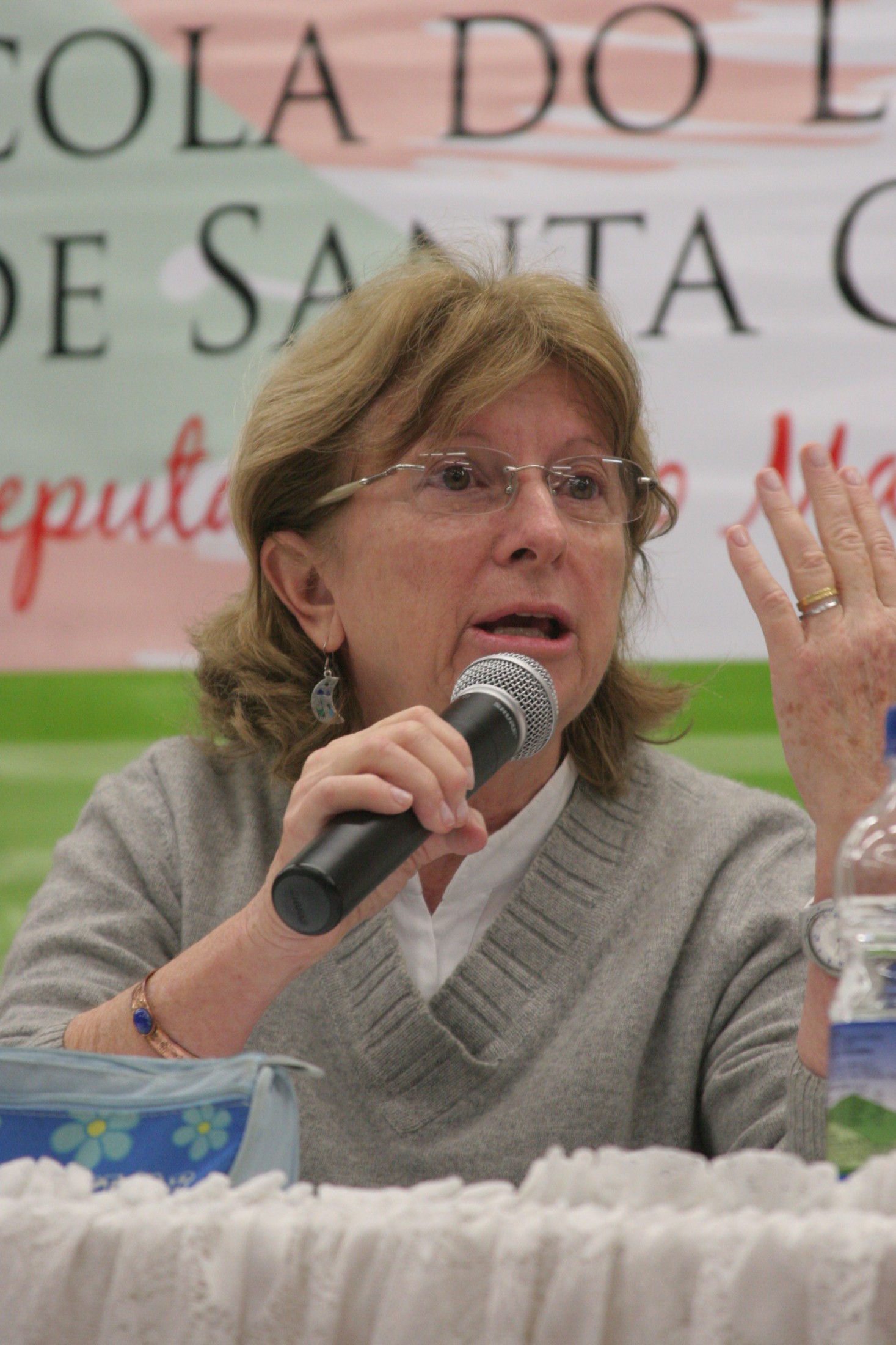 Seminário – PNE – Palestrante Leda Scheibe