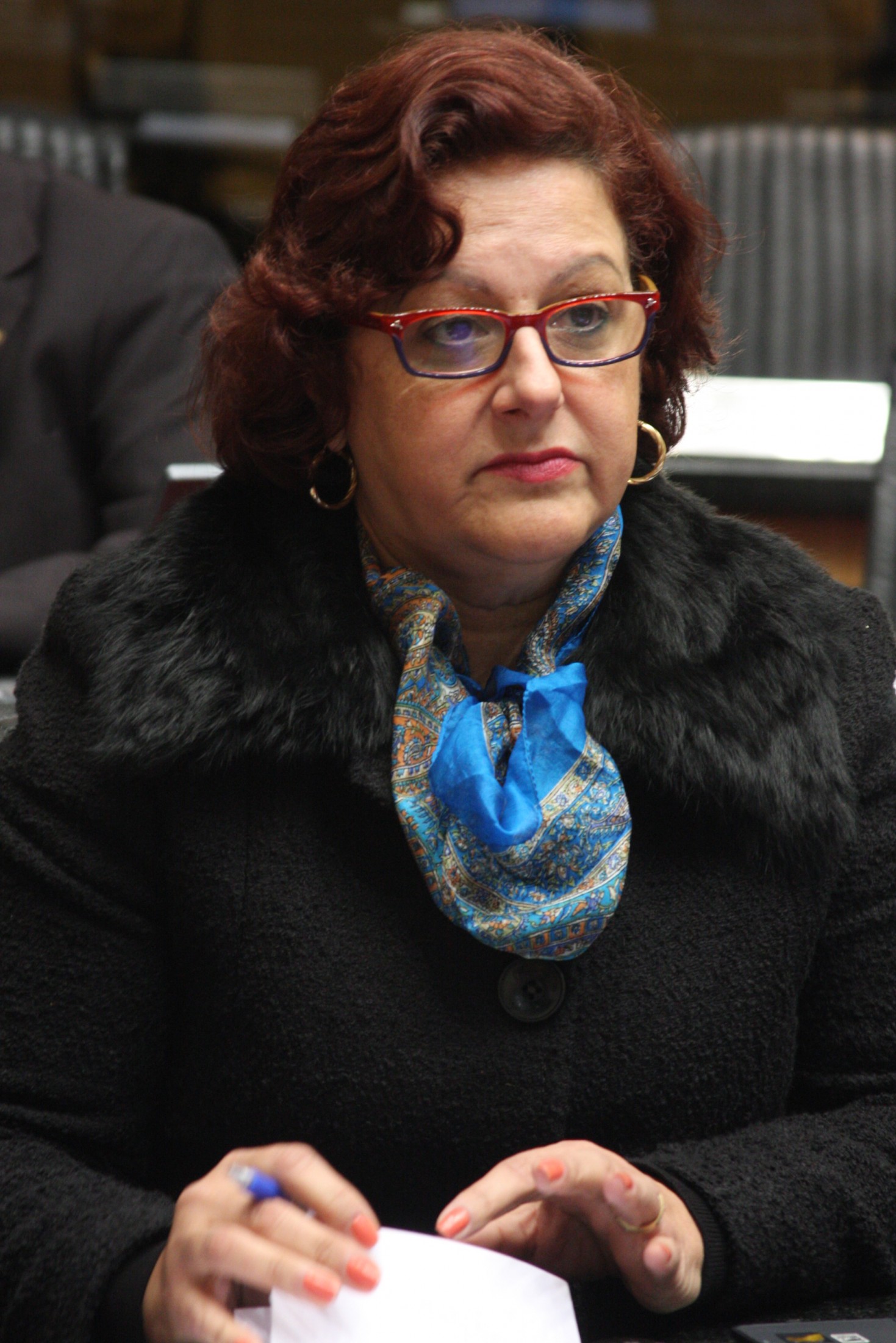 Deputada Dirce Heiderscheidt (PMDB)