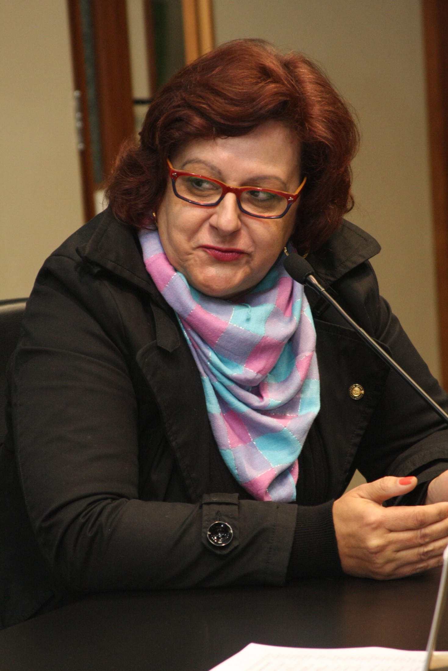 Deputada Dirce Heidersheidt (PMDB)
