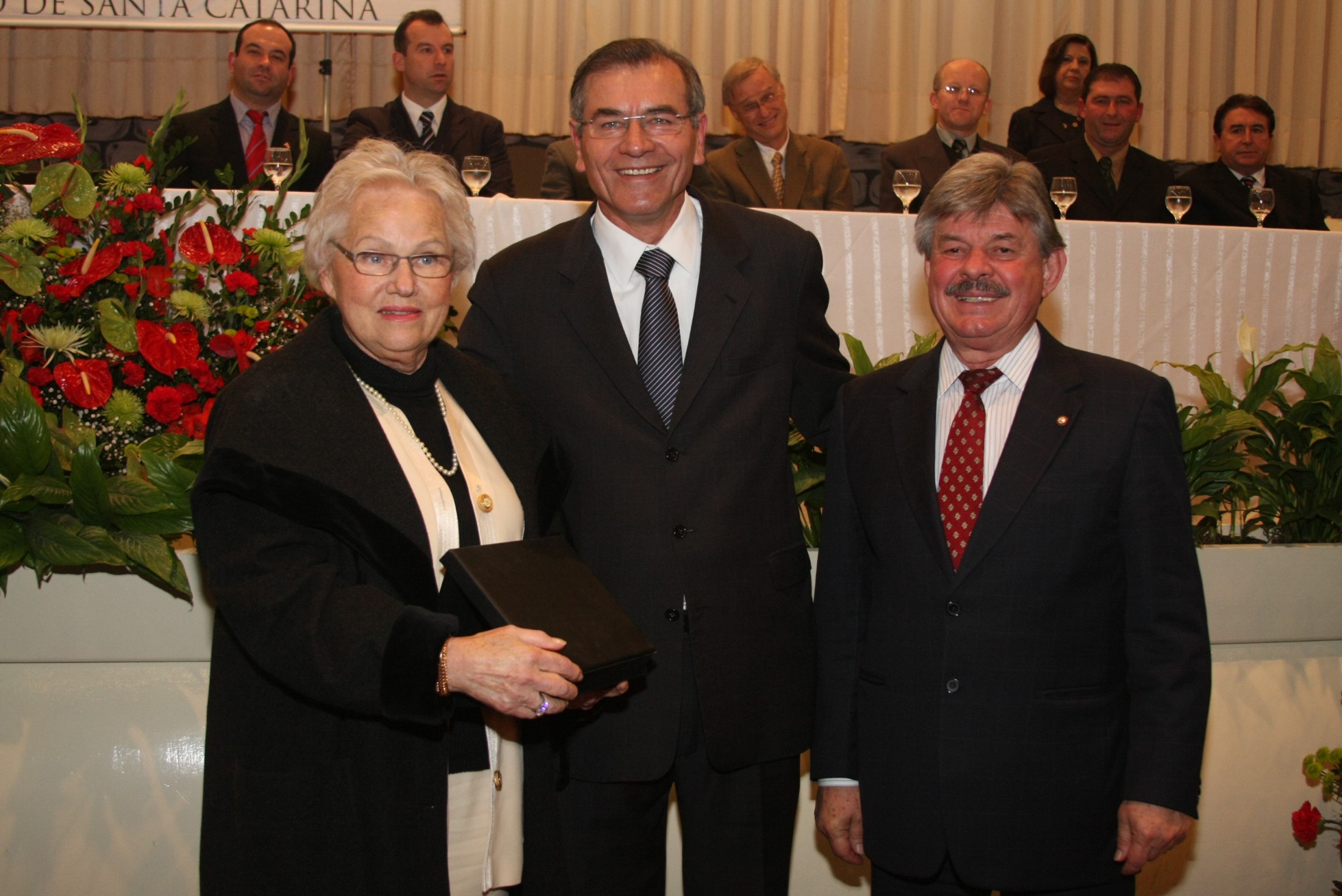 Homenageada: Vera Buddemeyer