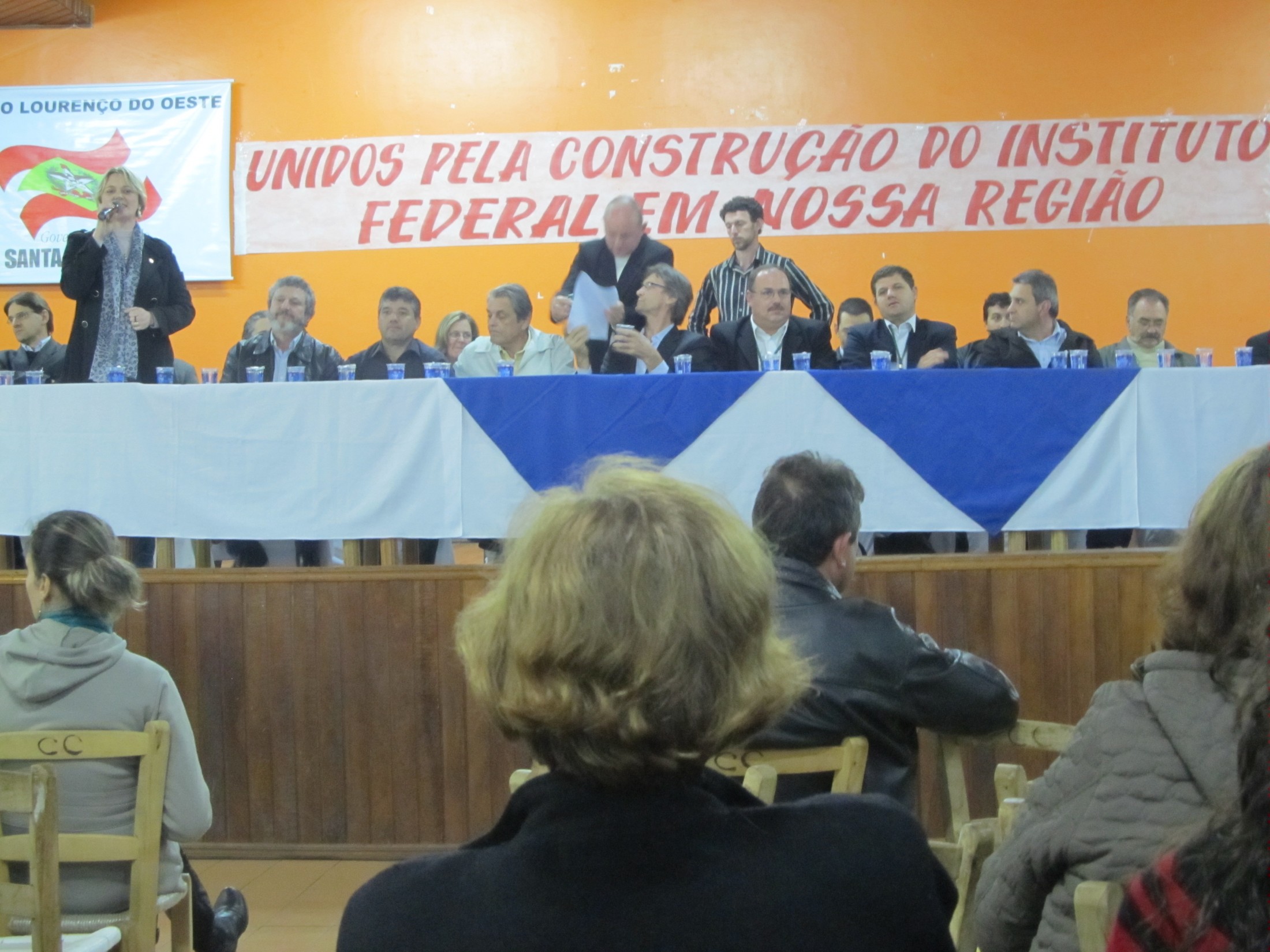 Deputada Luciane Carminatti (PT)