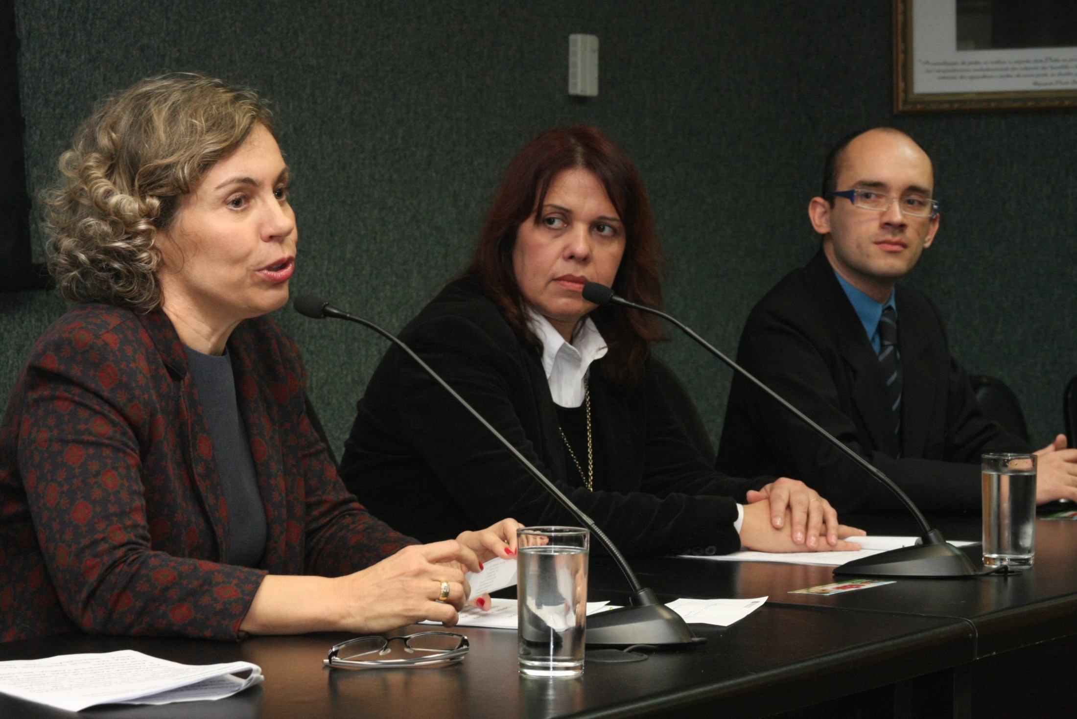 Lançamento do Site da Campanha de Adoção – GEAF