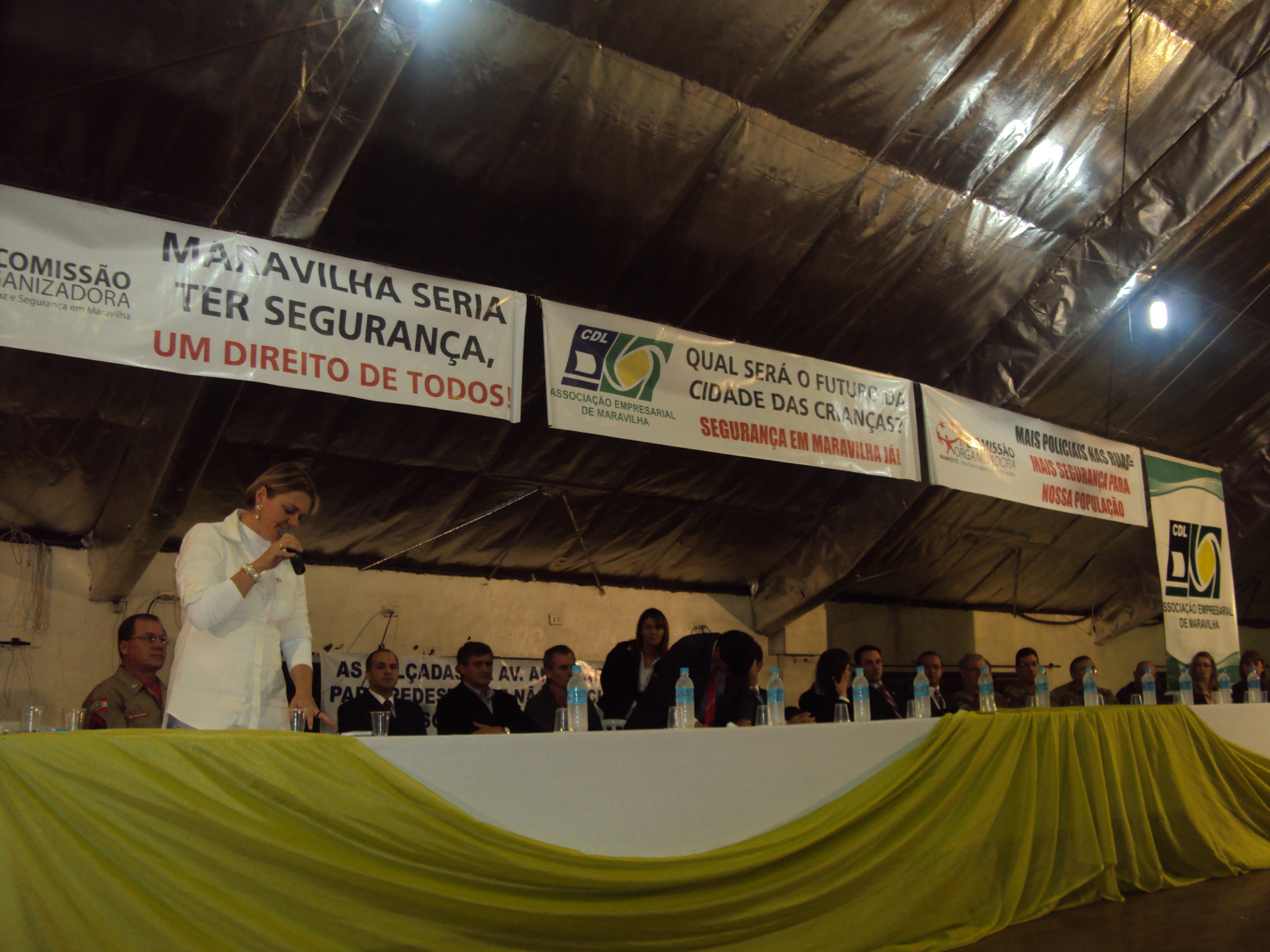 Deputada Luciane Carminatti (PT)