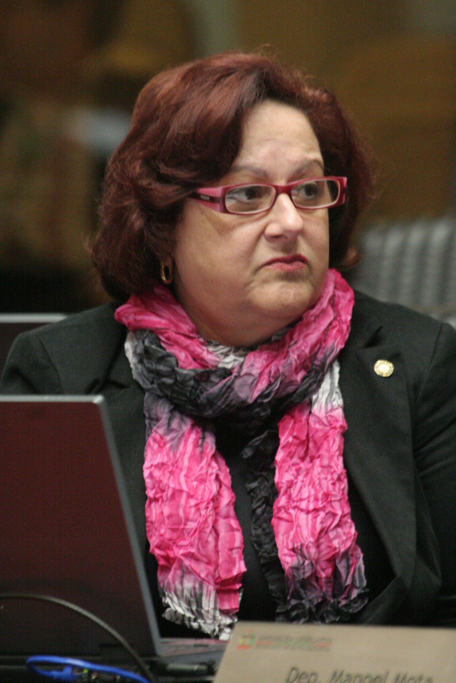 Deputada Dirce Heiderscheidt (PMDB)