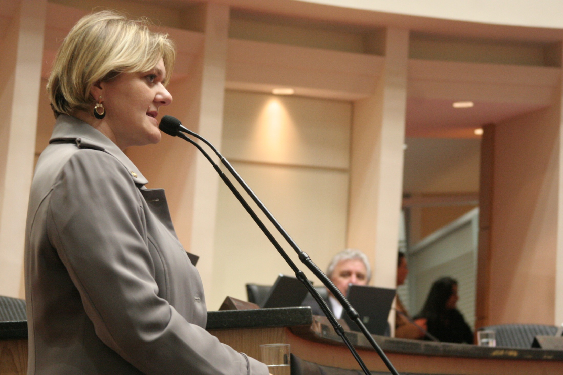 Deputada Luciane Carminatti (PT)