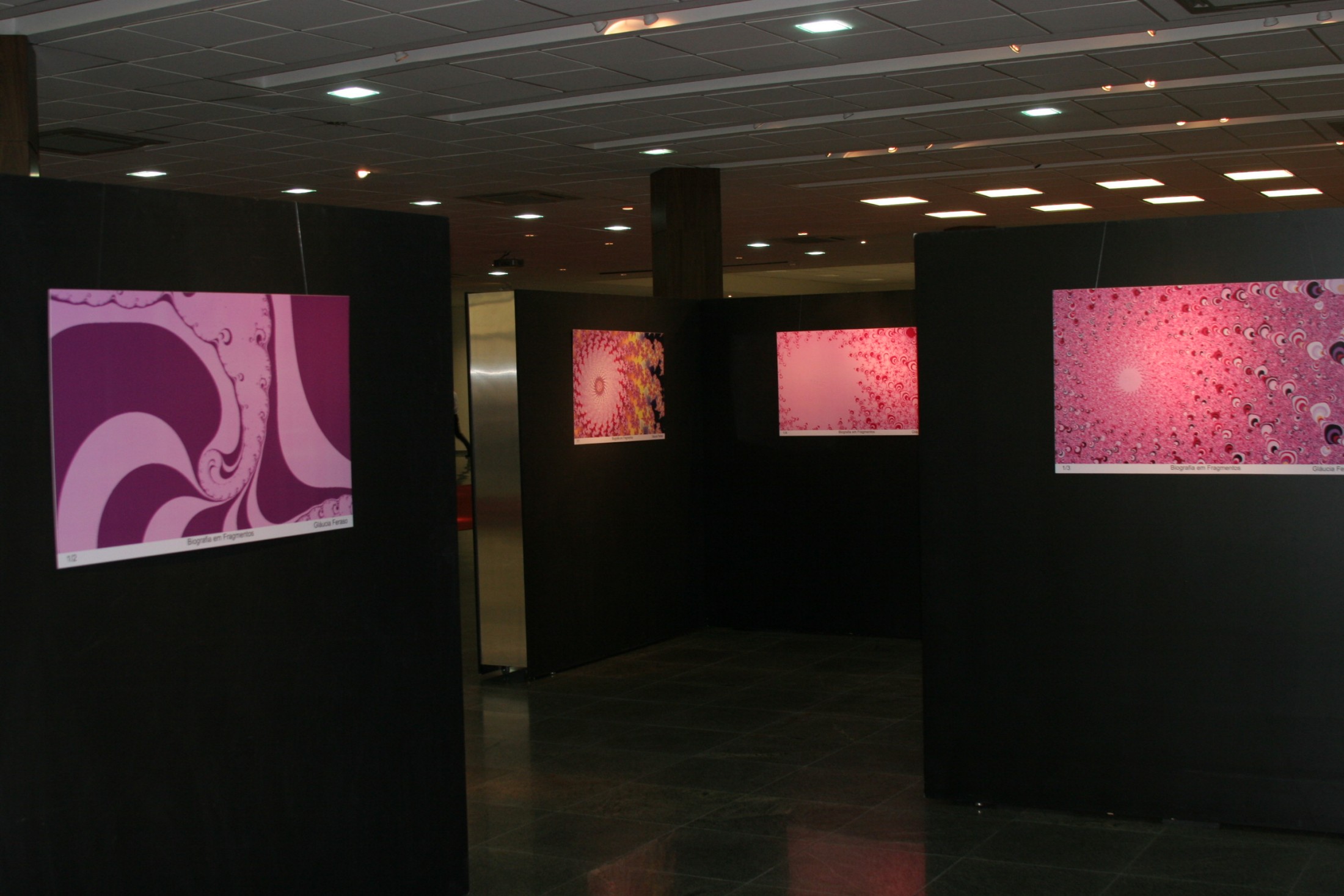 Exposição da Artista Plástica Gláucia Feraso