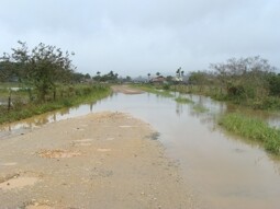 Secretário da Agricultura fala sobre os prejuízos na área rural