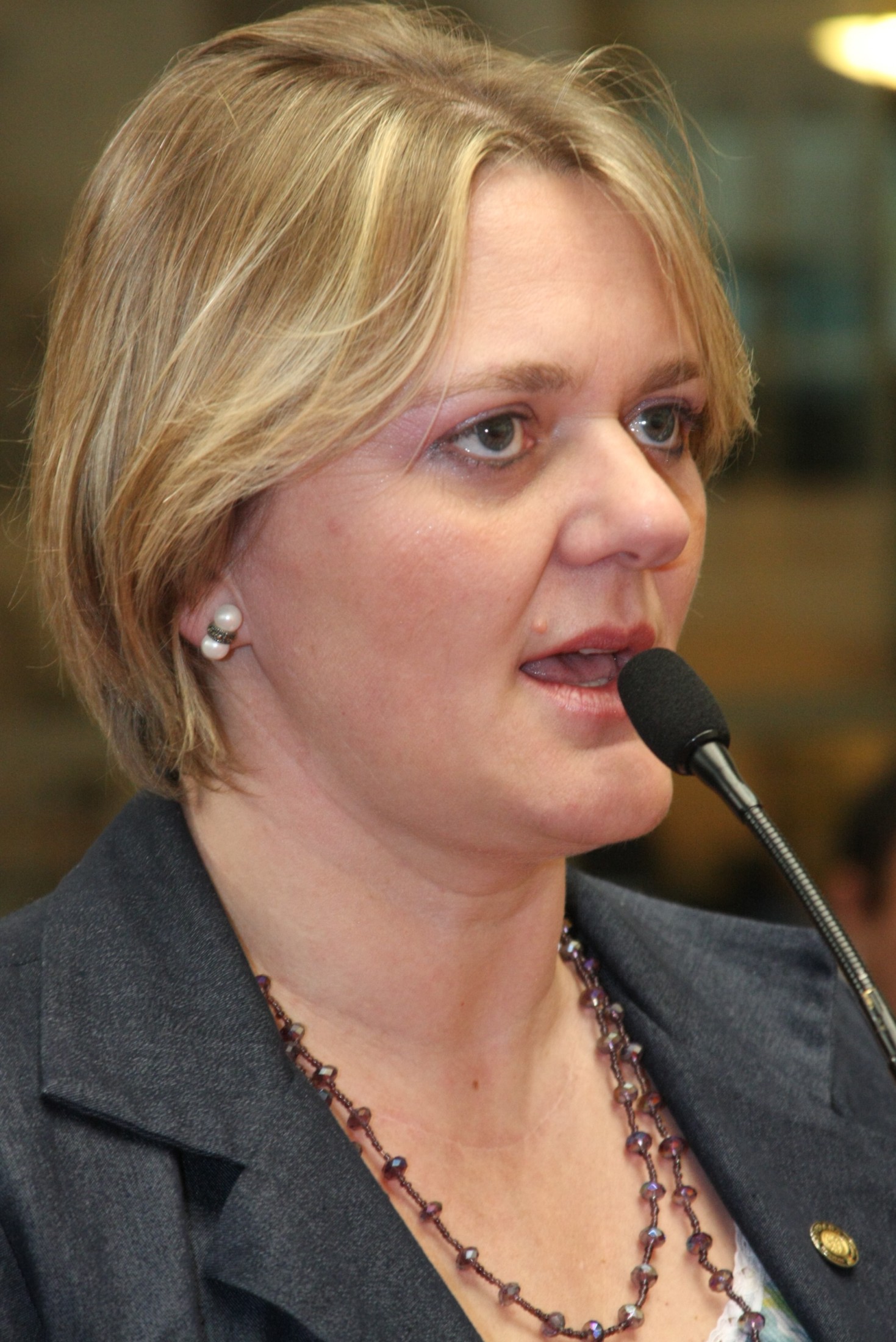 Deputada Luciane Carminatti (PT)