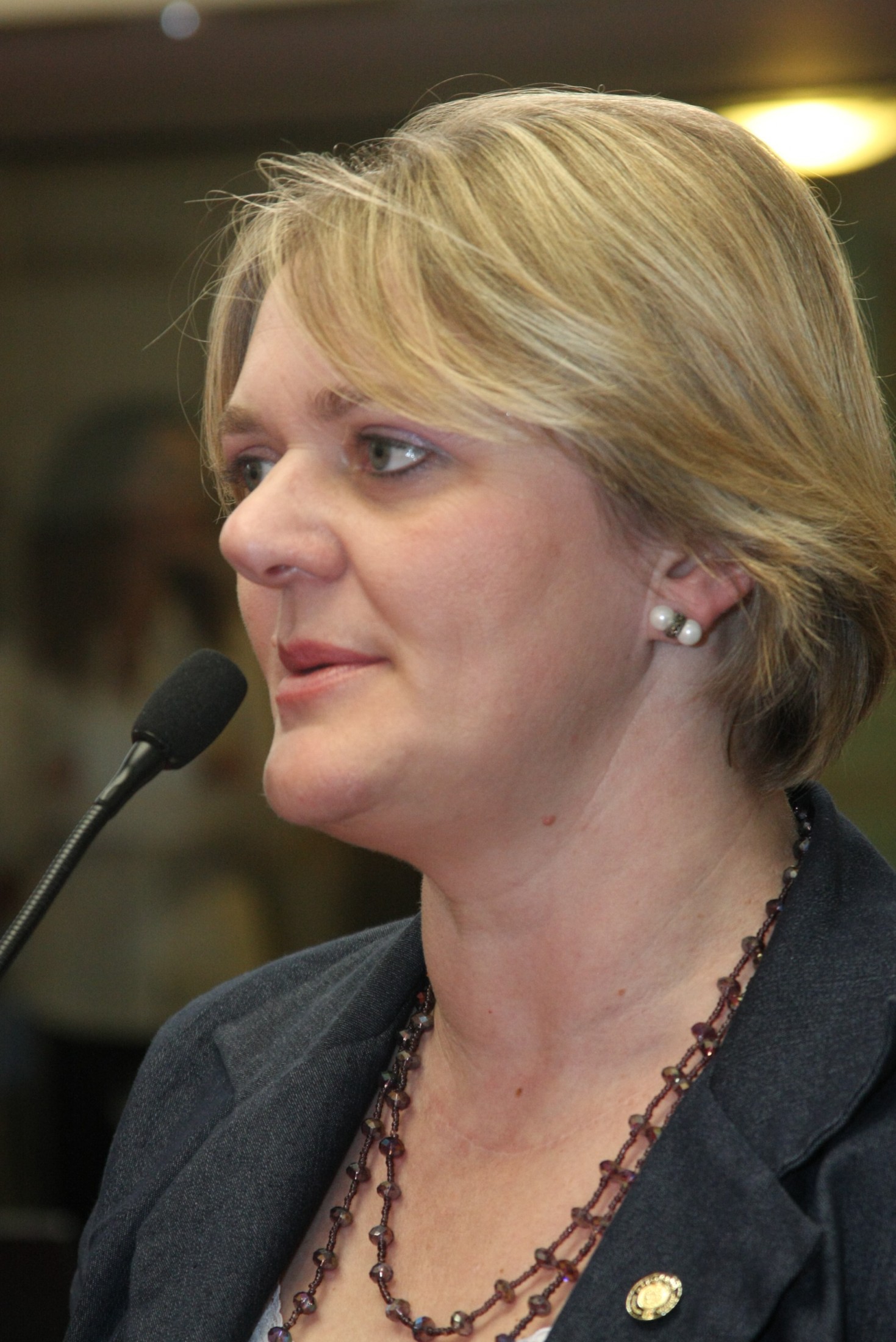 Deputada Luciane Carminatti (PT) - Sessão Ordinária - Plenário Osni Régis