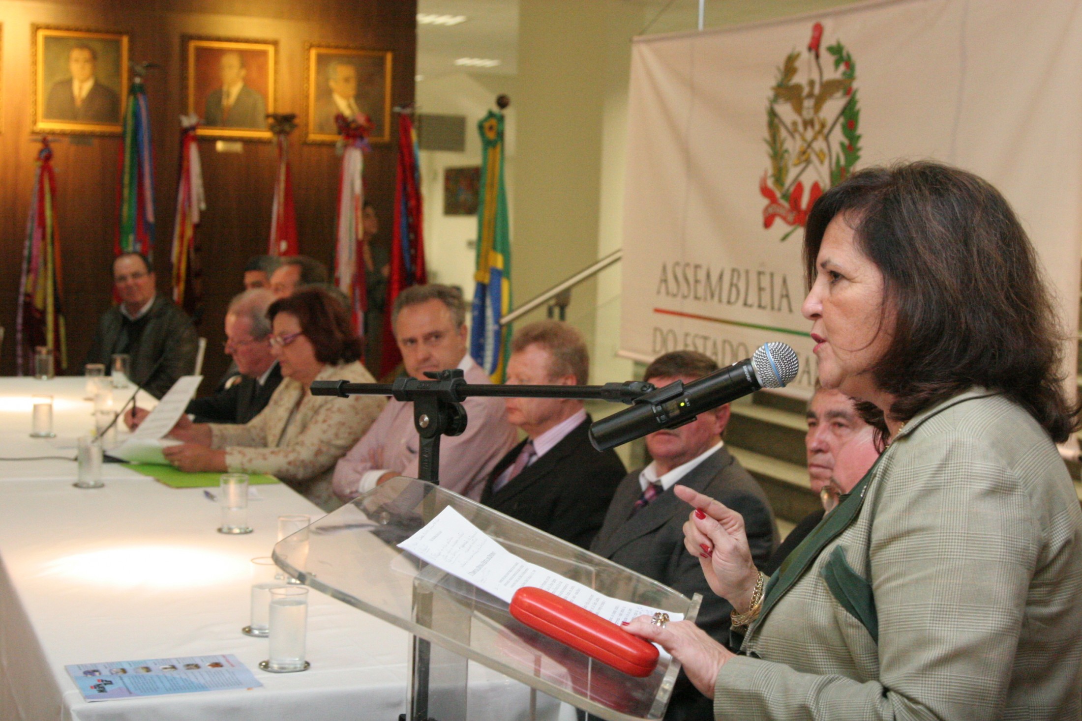Sessão Especial em homenagem às Festas do Divino Espírito Santo da Grande Florianópolis