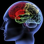 Epilepsia em debate na Assembleia Legislativa