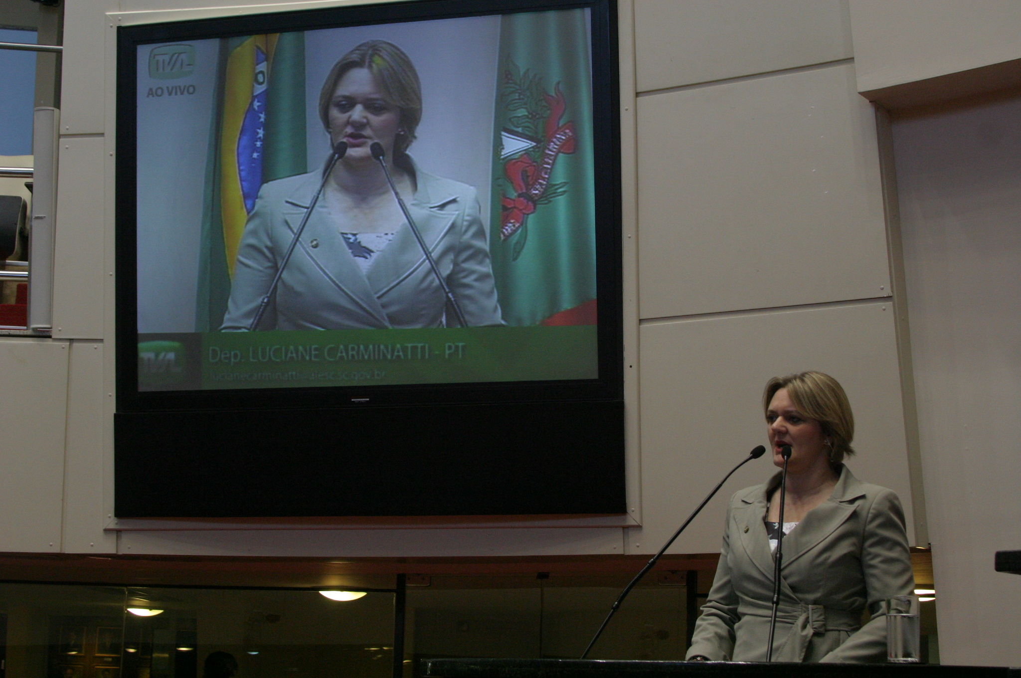 Deputada Luciane Carminatti (PT)