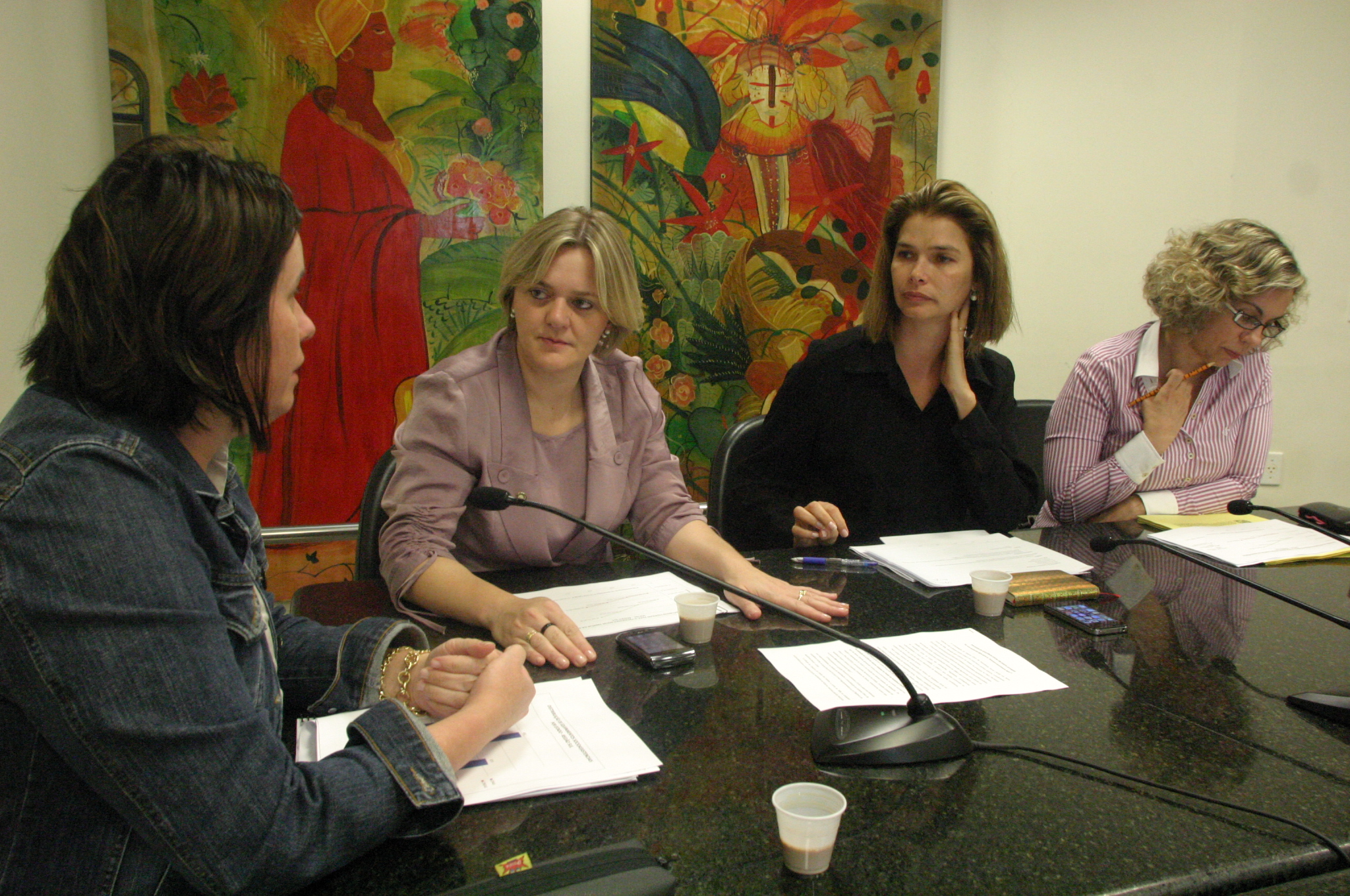 Reunião da Bancada Feminina