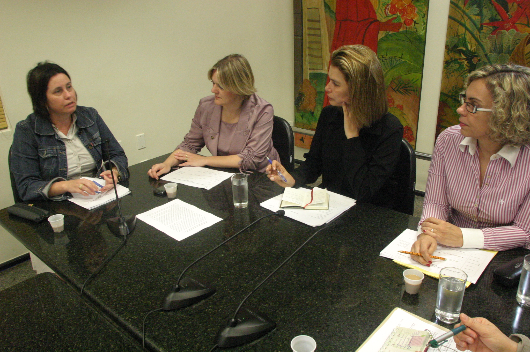 Reunião da Bancada Feminina
