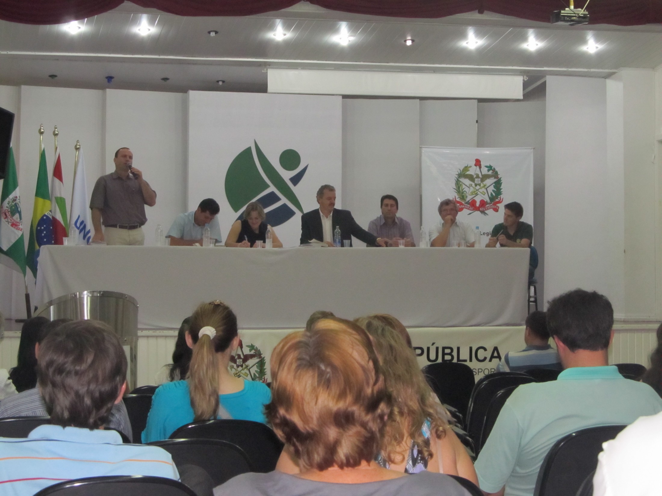 Deputada Luciane Carminatti (PT)