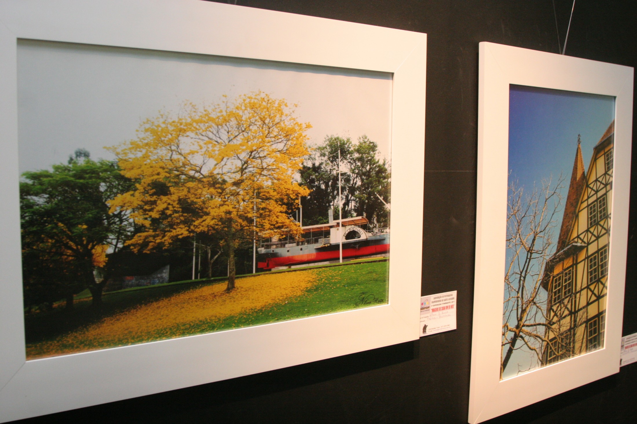 Exposição Fotográfica - Imagens de cada um de nós - Associação de Fotógrafos Profissionais de Santa Catarina